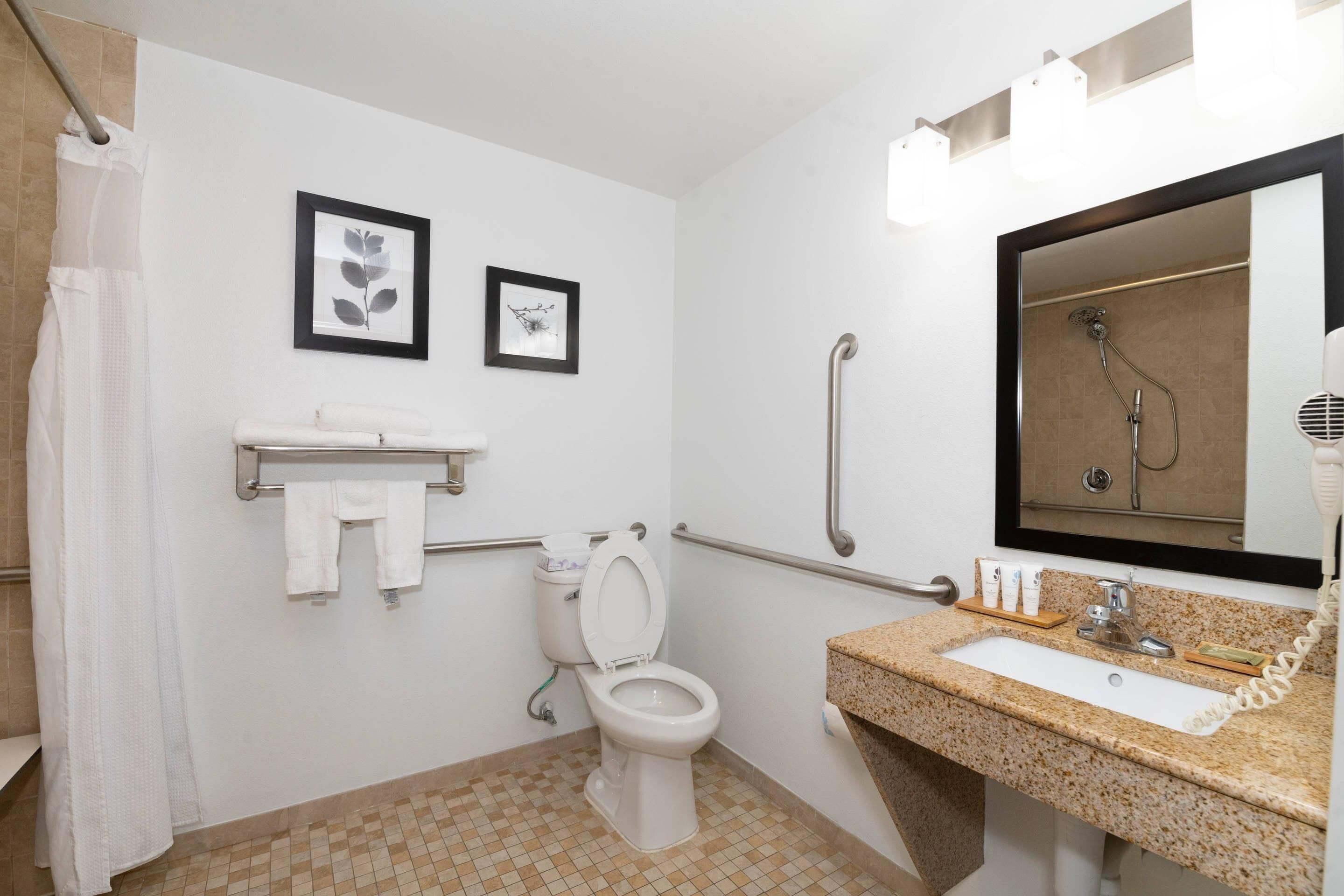 A bathroom with a toilet, sink, shower, and handrails.