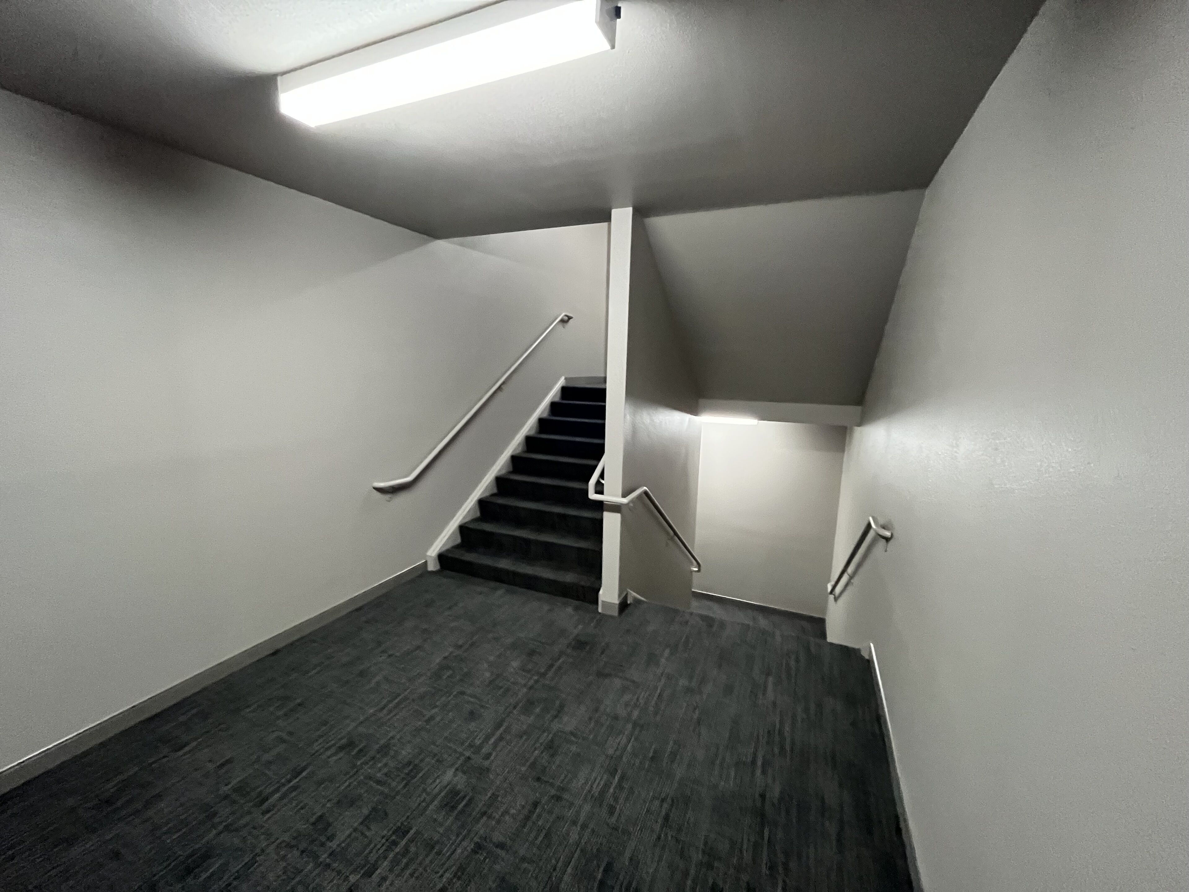 Eine moderne Treppe mit Geländer, Teppichstufen und einer Deckenleuchte.