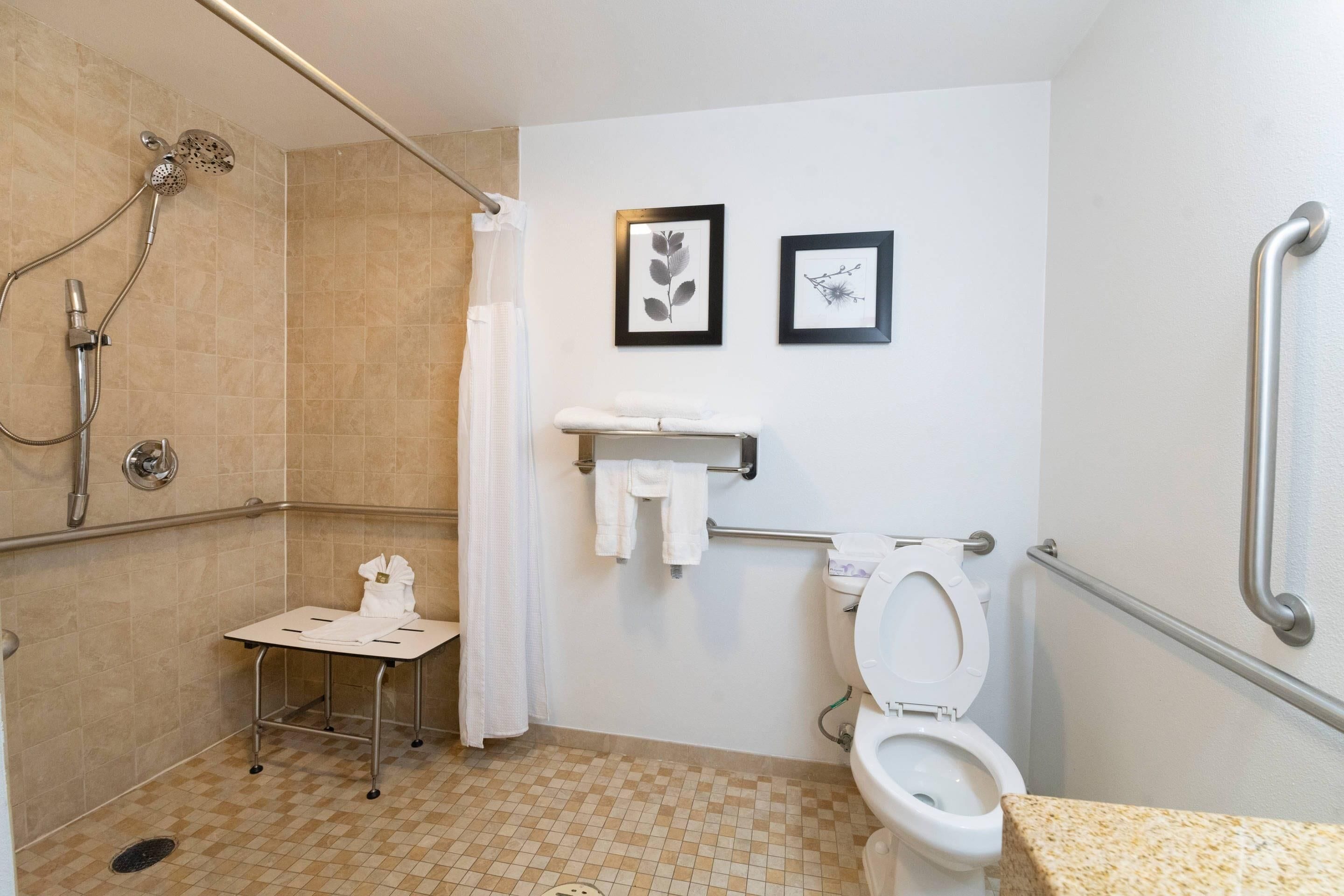 Room, 1 King Bed, Accessible, Non Smoking (Roll-in Shower) | Desk, blackout drapes, iron/ironing board, free cribs/infant beds