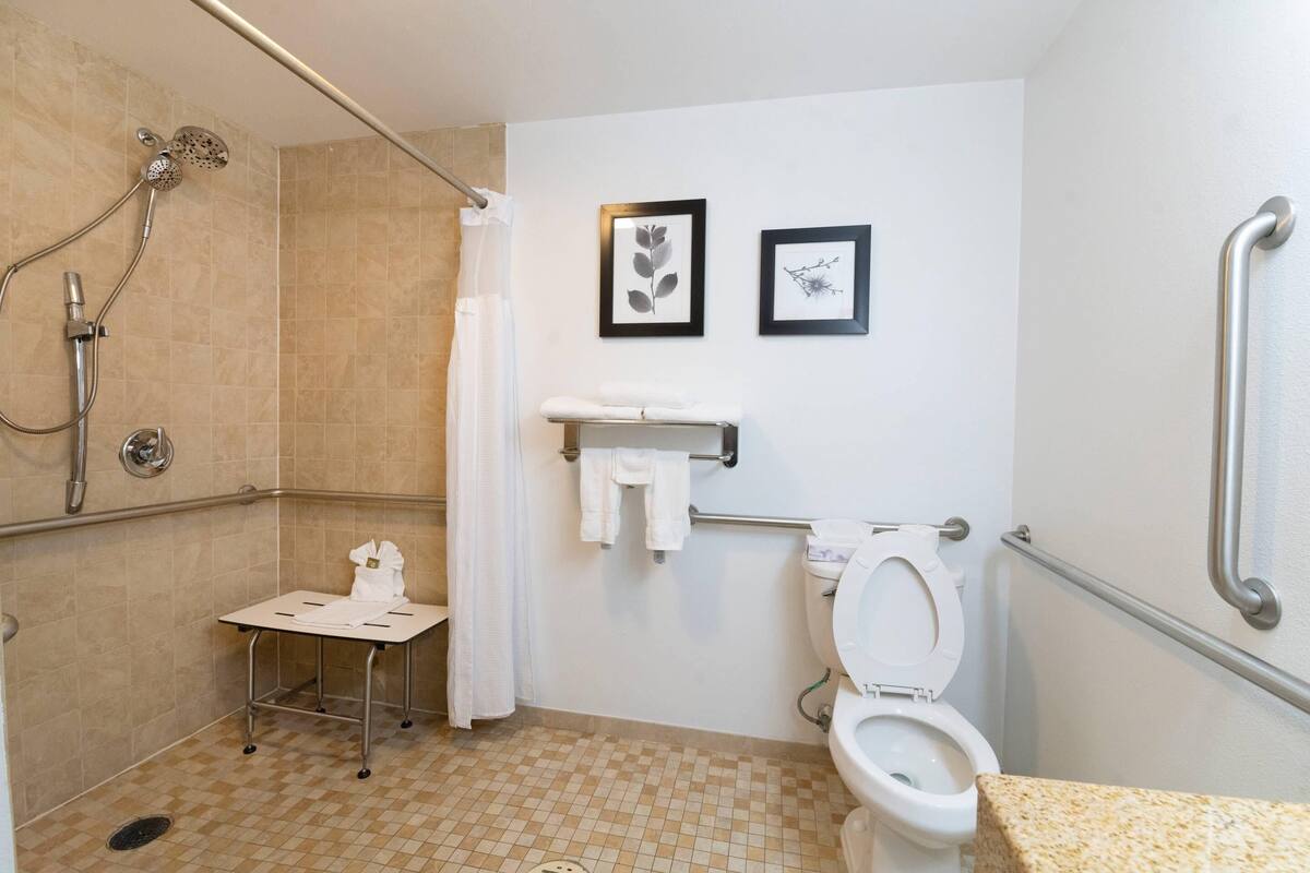A bathroom with a shower, toilet, and handrails.