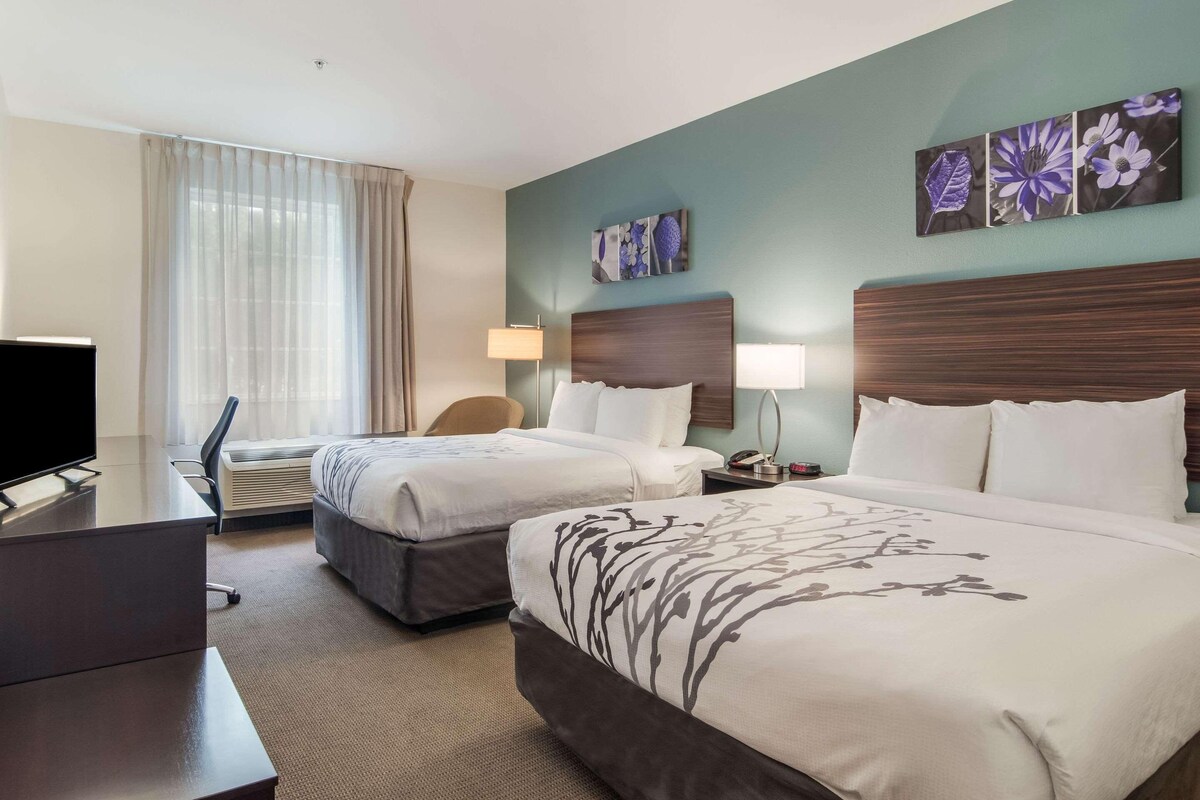 A hotel room with two beds, a desk, a TV, and a chair.