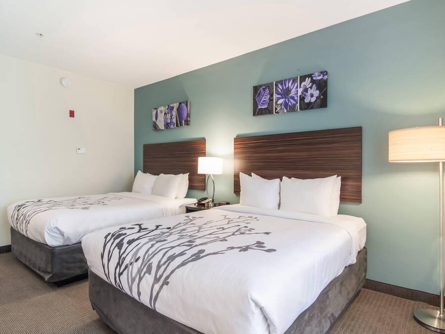Habitación de hotel con dos camas, una mesita de noche, una lámpara y decoración en la pared.