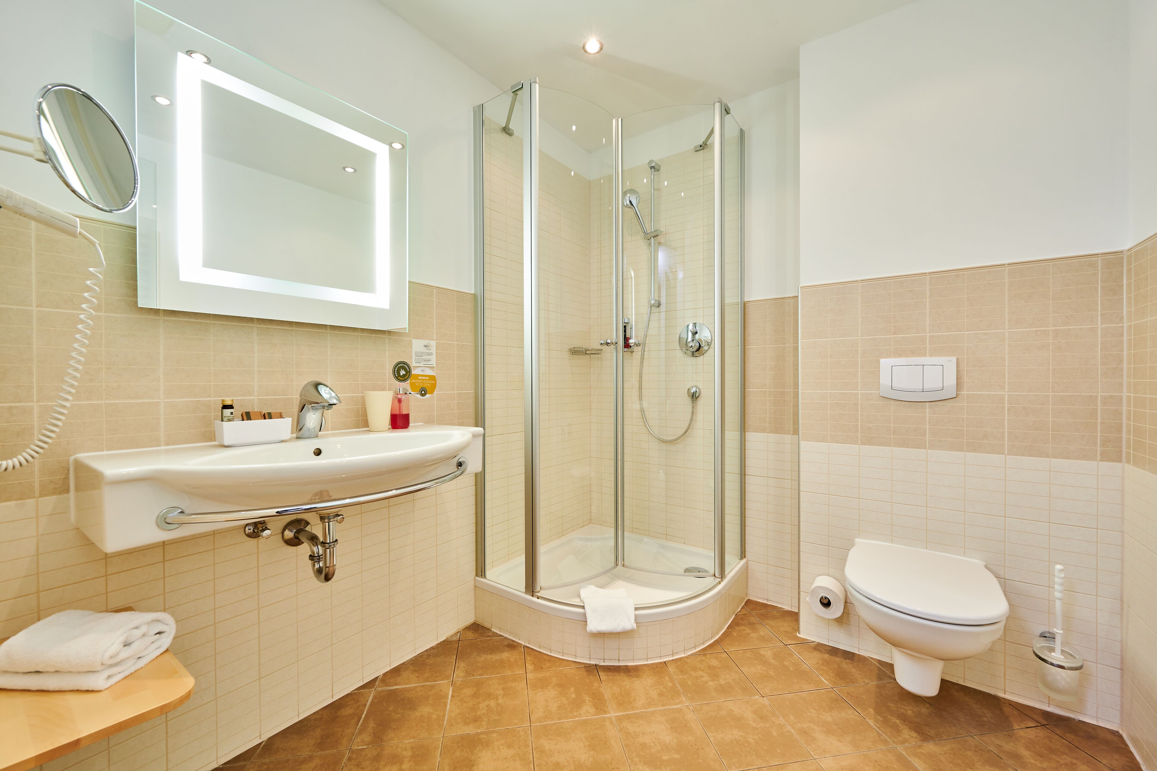 Un baño con ducha de vidrio, lavamanos con espejo e inodoro.