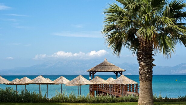 Une plage avec des parasols en chaume, un kiosque en bois et un palmier.