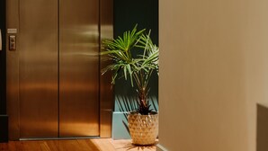 An elevator with a potted plant beside it. - Quest Napier Serviced Apartment (Napier)