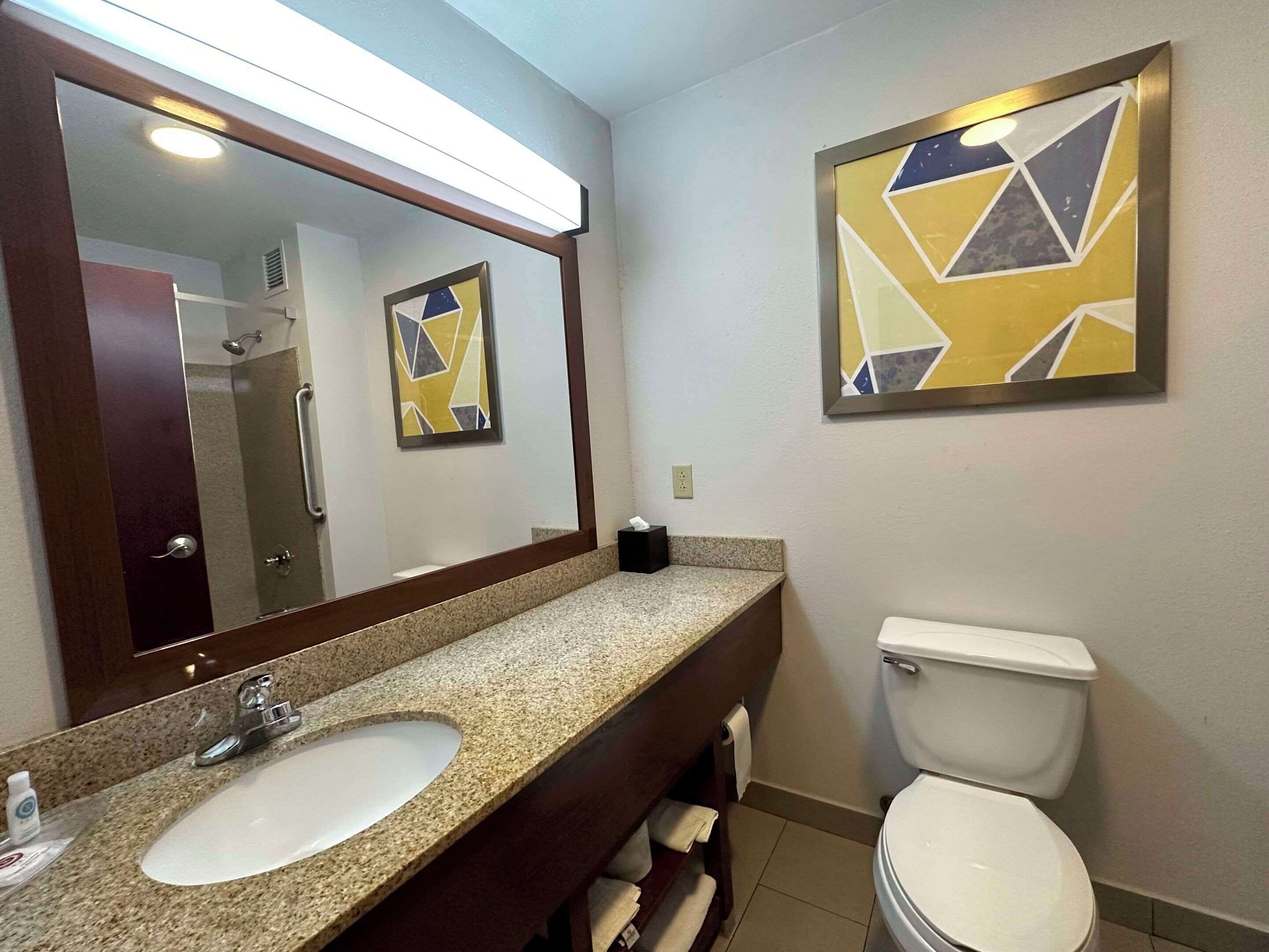 A bathroom with a granite countertop sink, a mirror, a toilet, and two abstract paintings on the walls.