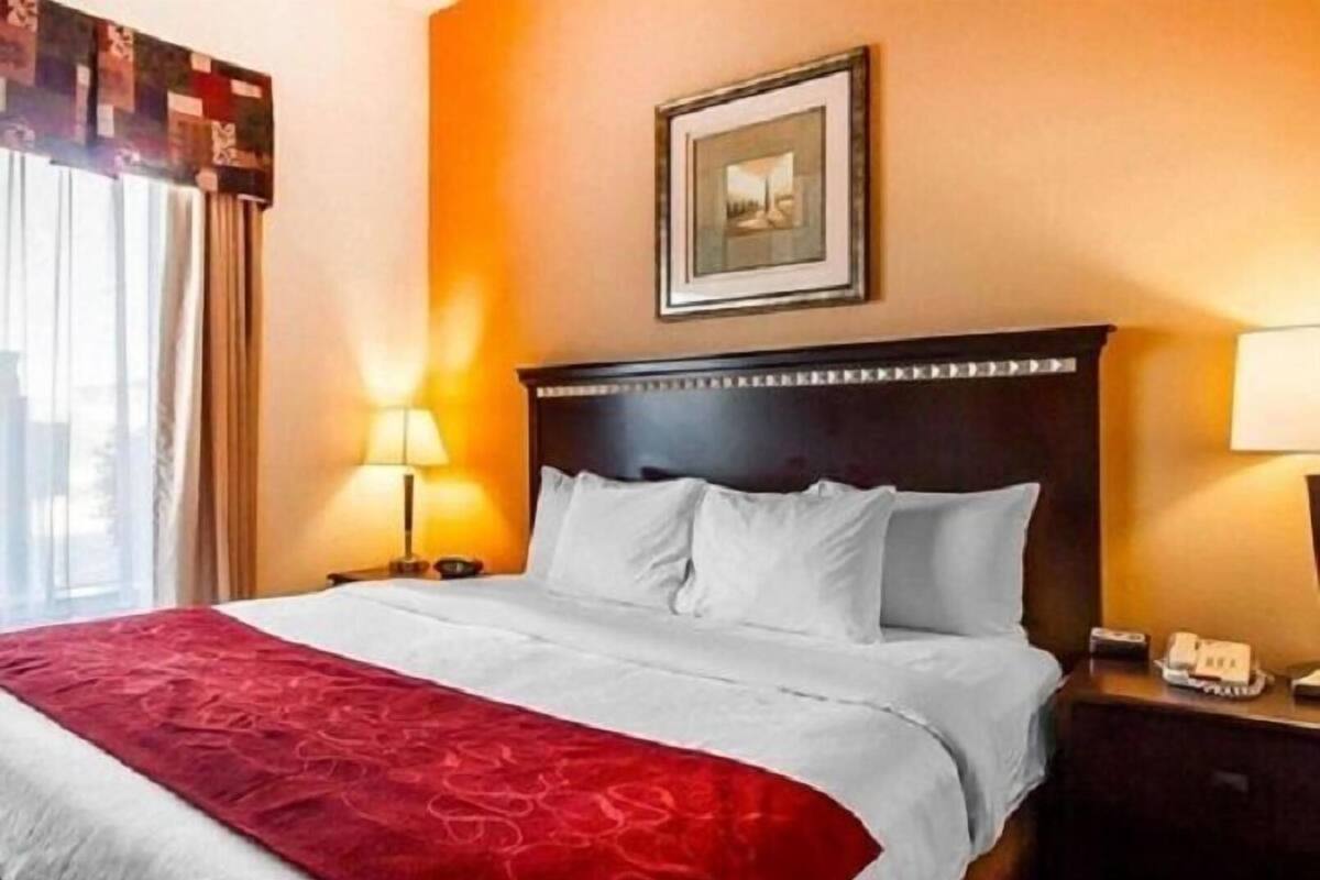 Une chambre d’hôtel avec un lit, une table de chevet, une lampe, un tableau encadré au mur et une fenêtre avec des rideaux.