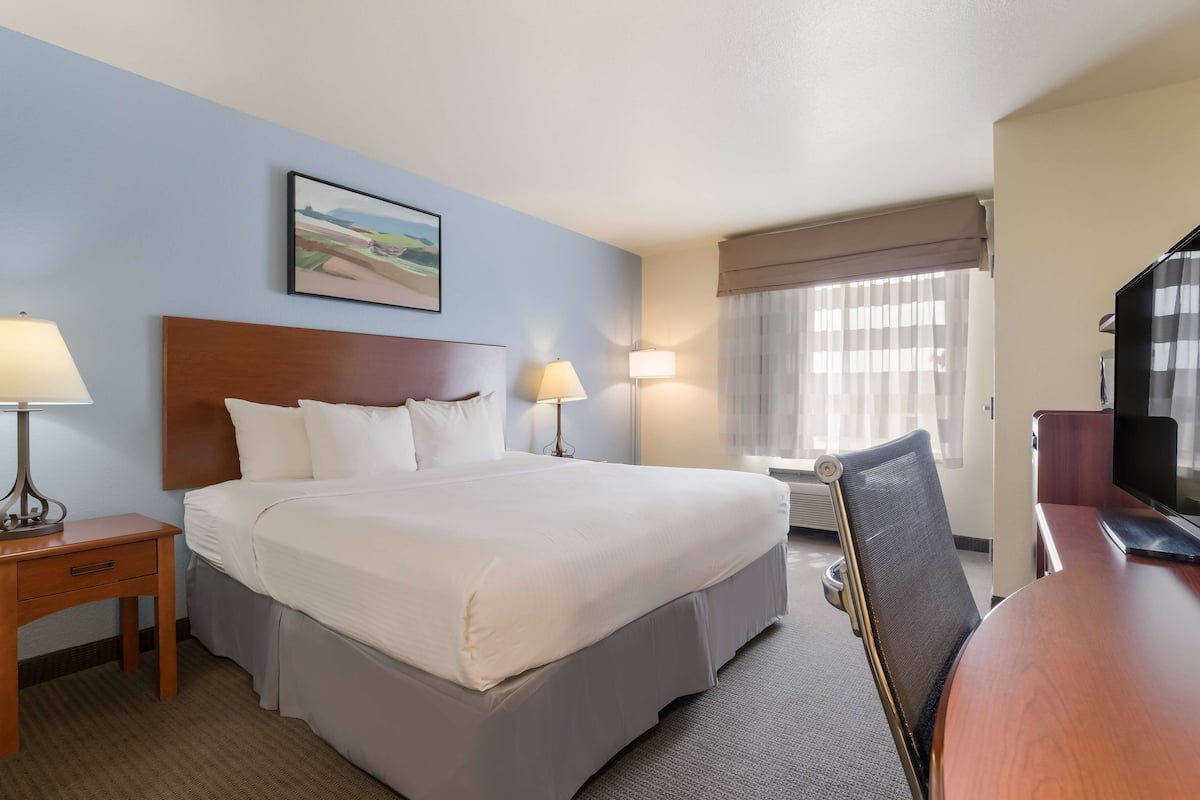Une chambre d’hôtel avec un grand lit, deux tables de chevet avec des lampes, une télévision et une fenêtre avec des rideaux.