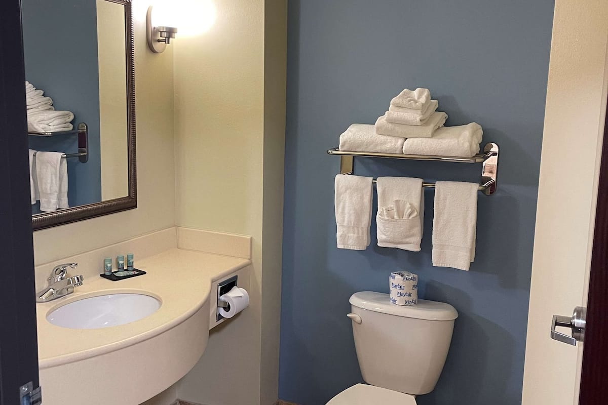 free toiletries, hair dryer, towels