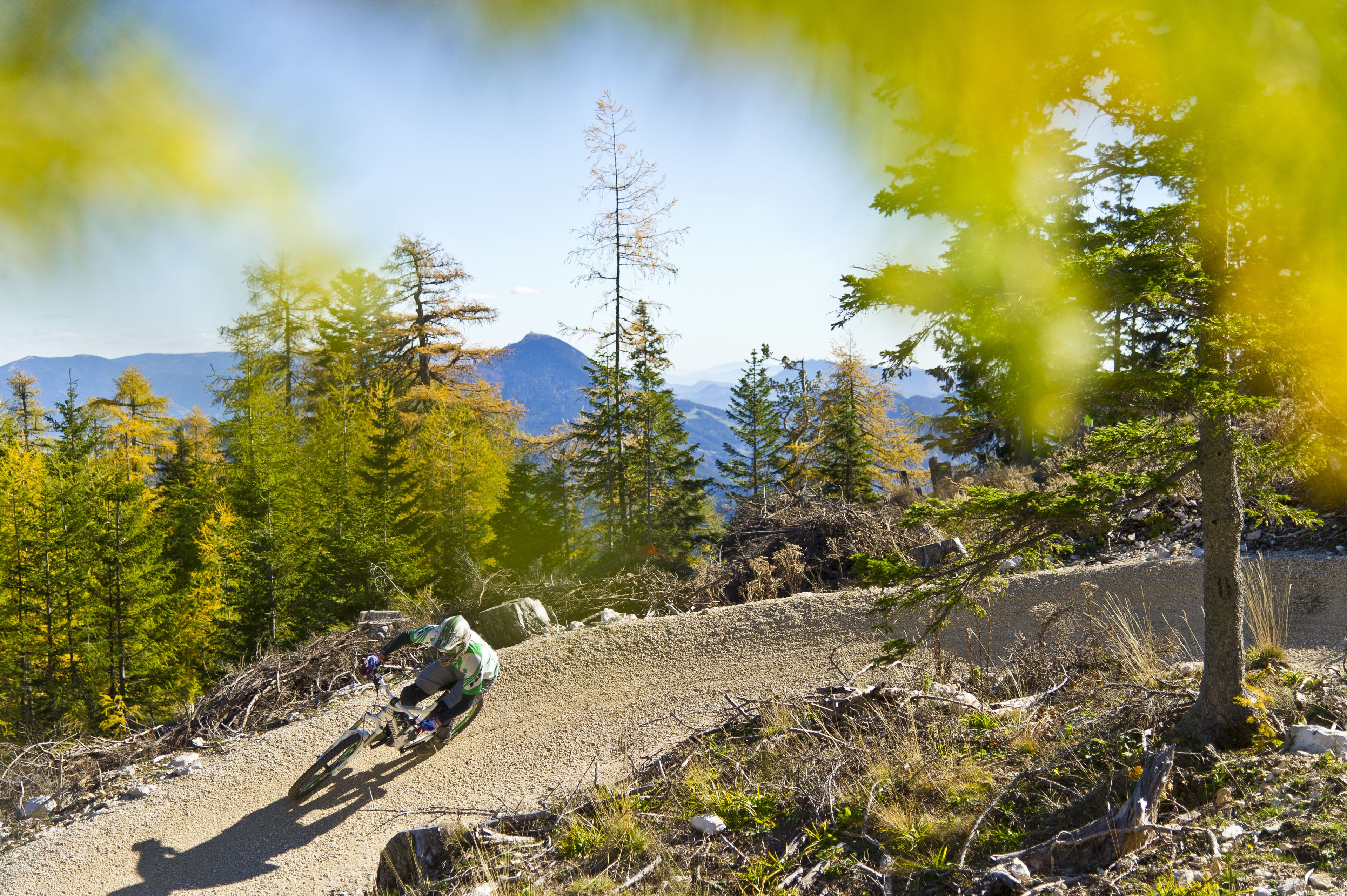A mountain biking trail with trees and a view of distant mountains.