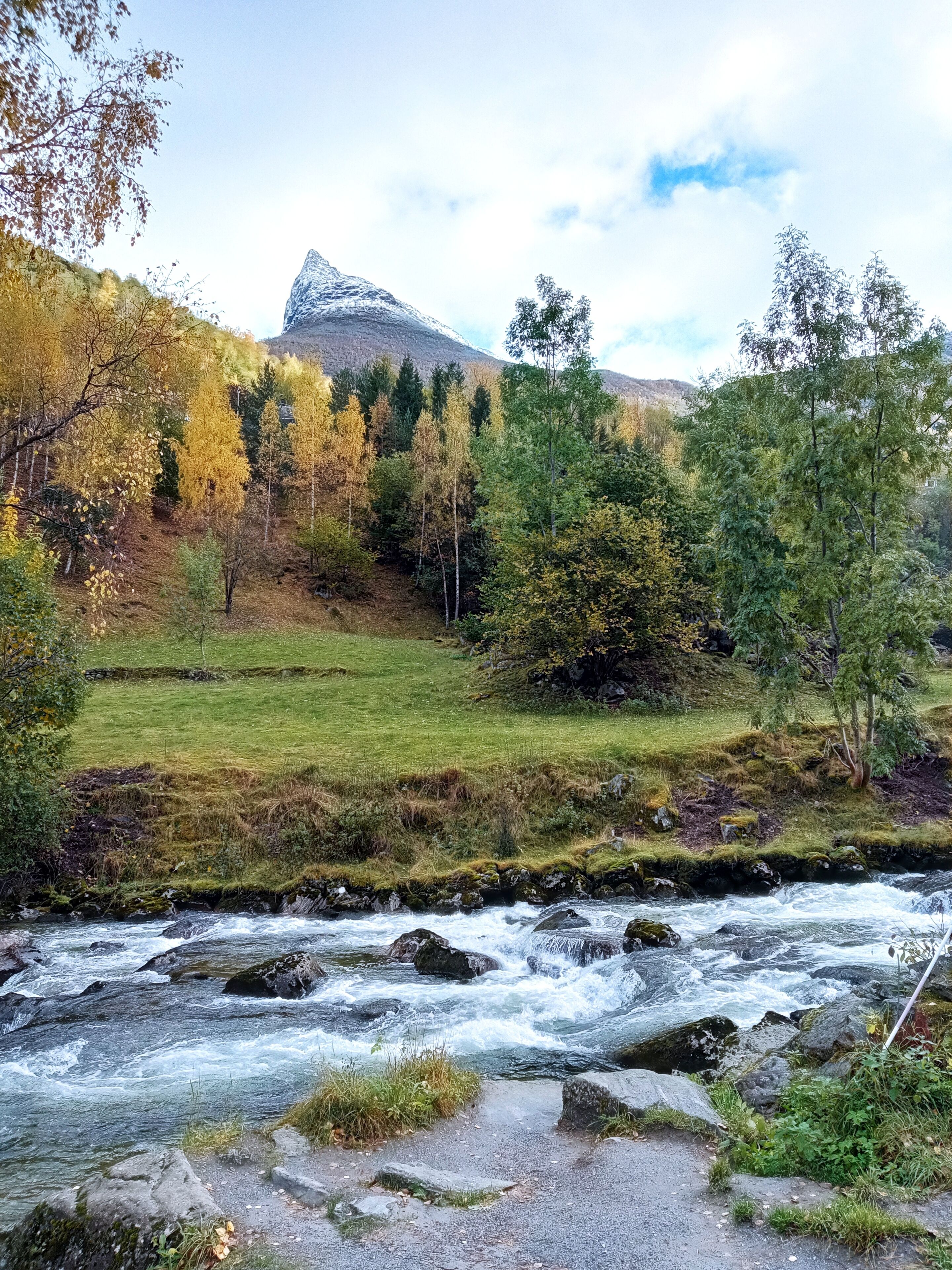 A river flowing through a grassy area with trees and a mountain in the background.