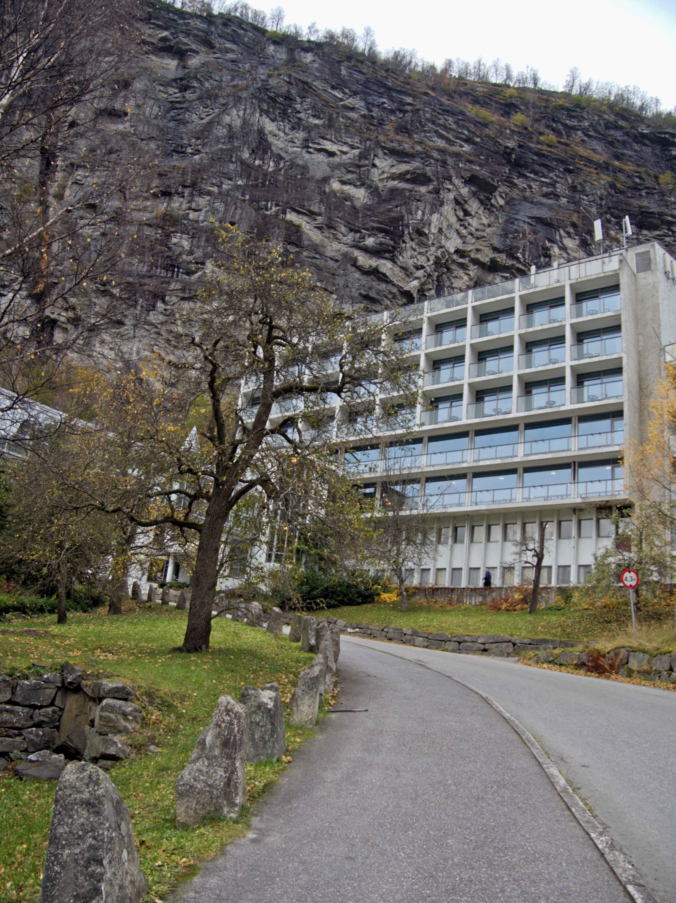 A modern building with a stone facade, a paved pathway, and a tree in the foreground.