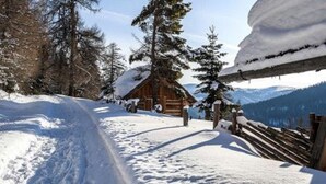 A wooden cabin with a snow-covered roof, surrounded by trees and mountains.