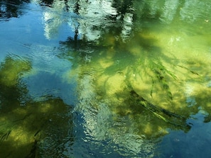 วิวจากที่พัก