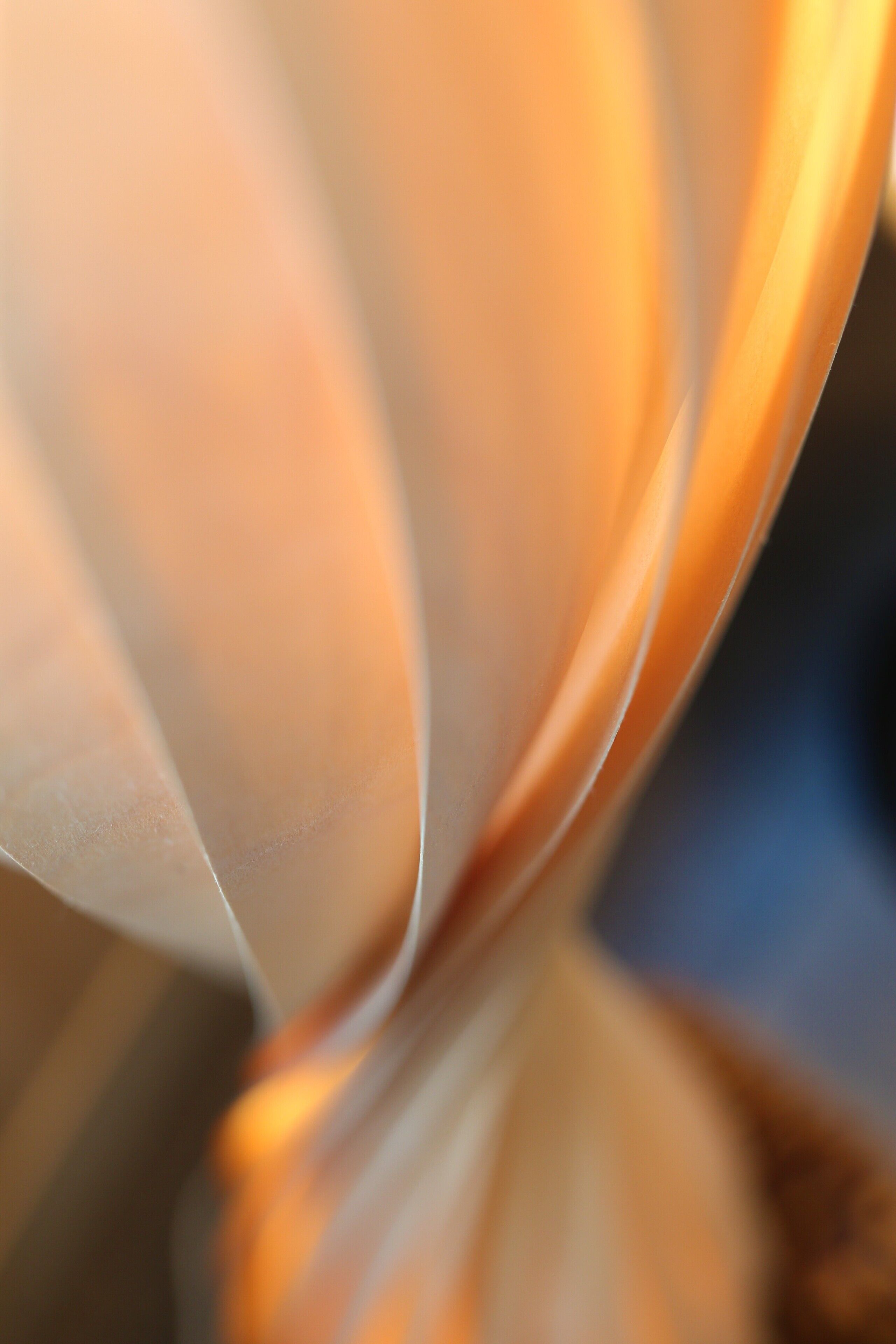 A close-up of a curved, translucent object with a warm glow.