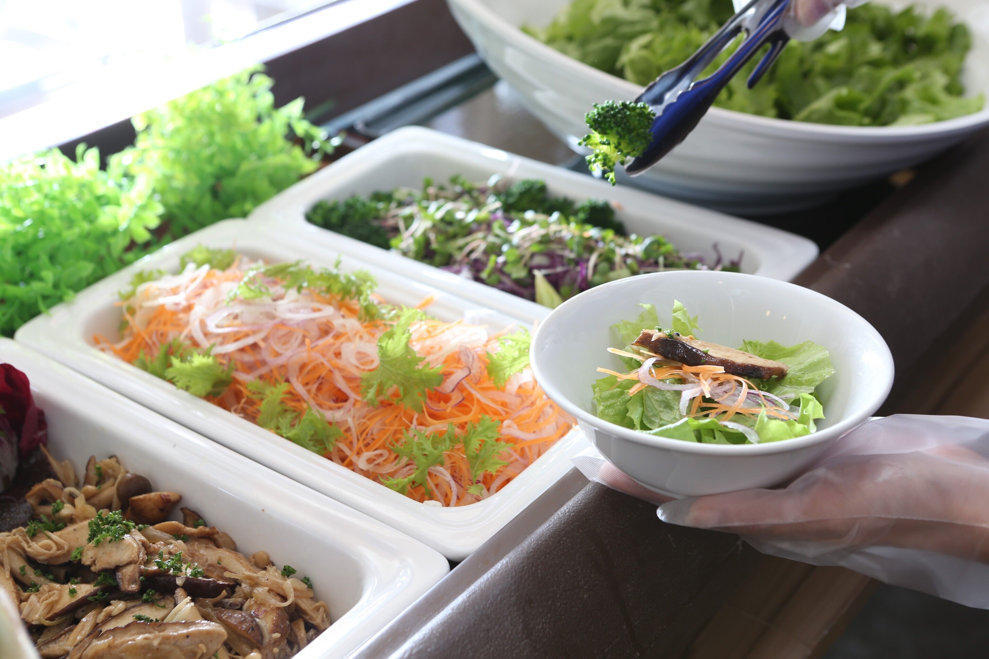 A buffet with various dishes including noodles, salads, and a bowl of mixed greens.