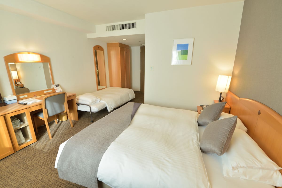 Chambre Triple, non-fumeur (Double Room + extra bed)