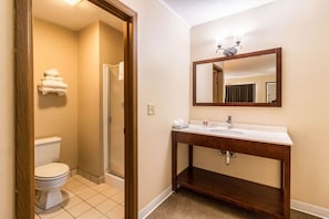 Bathroom features a toilet, vanity with mirror, and shower area.