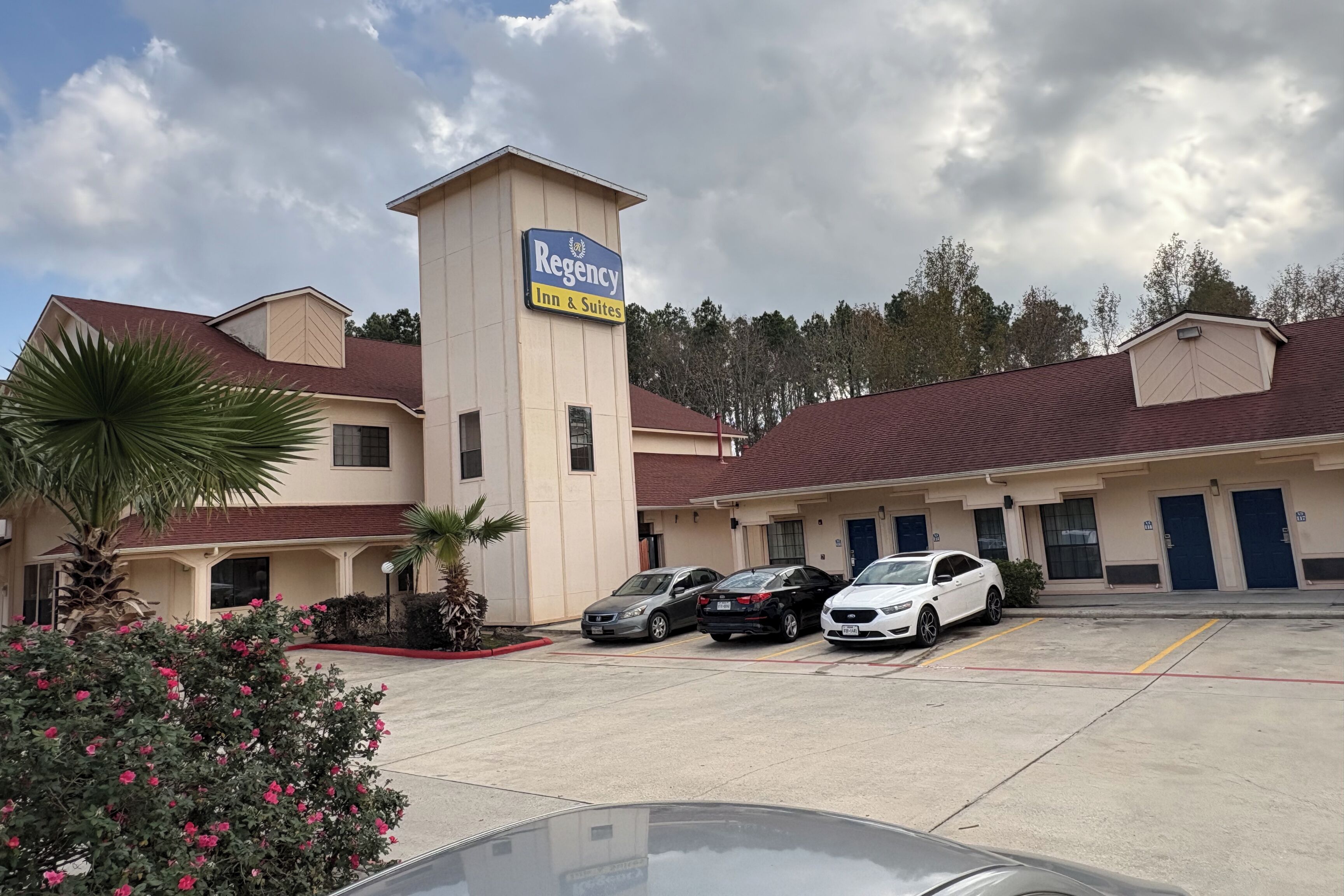 A Regency Inn & Suites with a parking lot, several cars, and a palm tree.