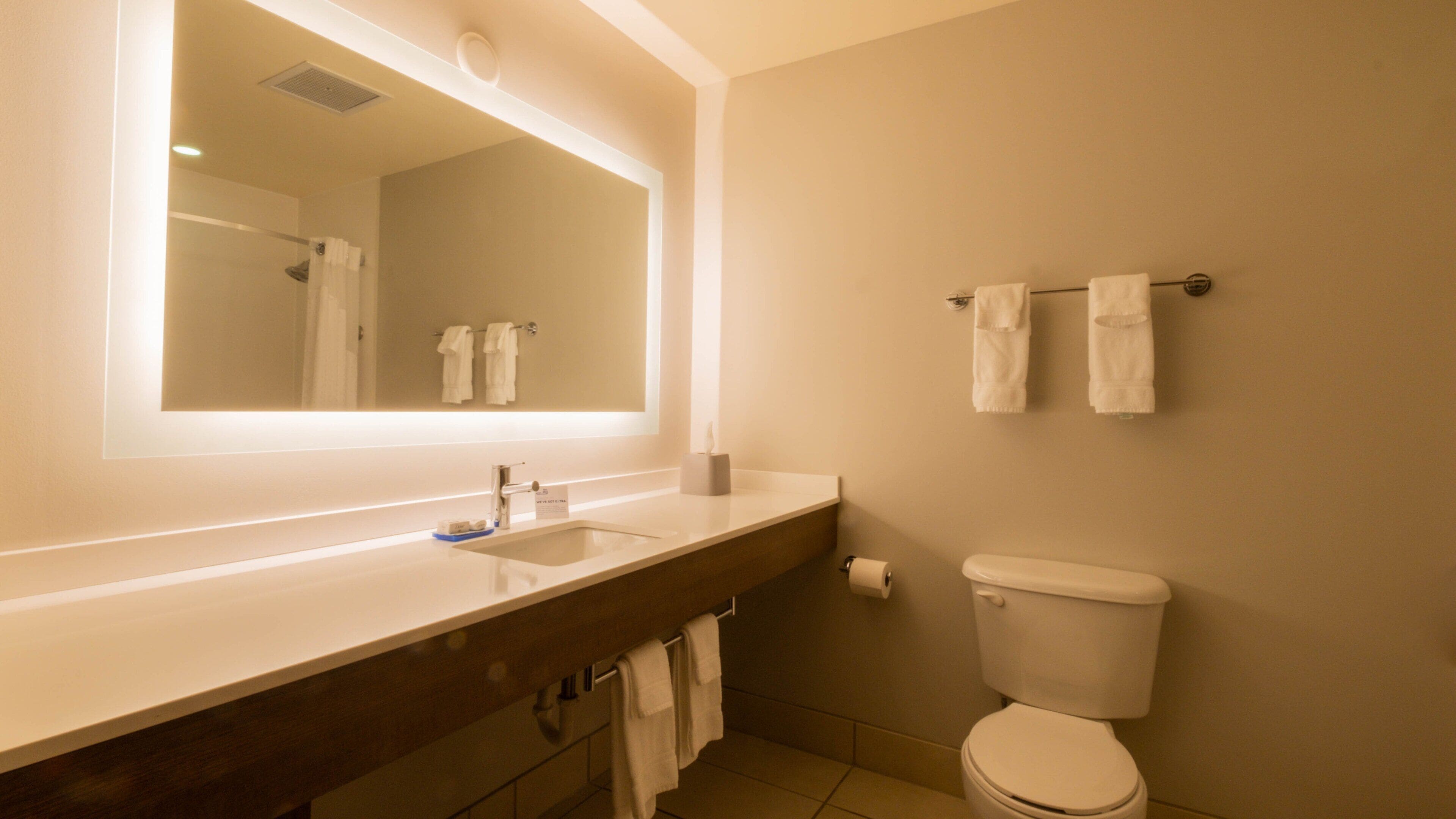 suite, 1 bedroom | bathroom | combined shower/bathtub, free toiletries, hair dryer, towels