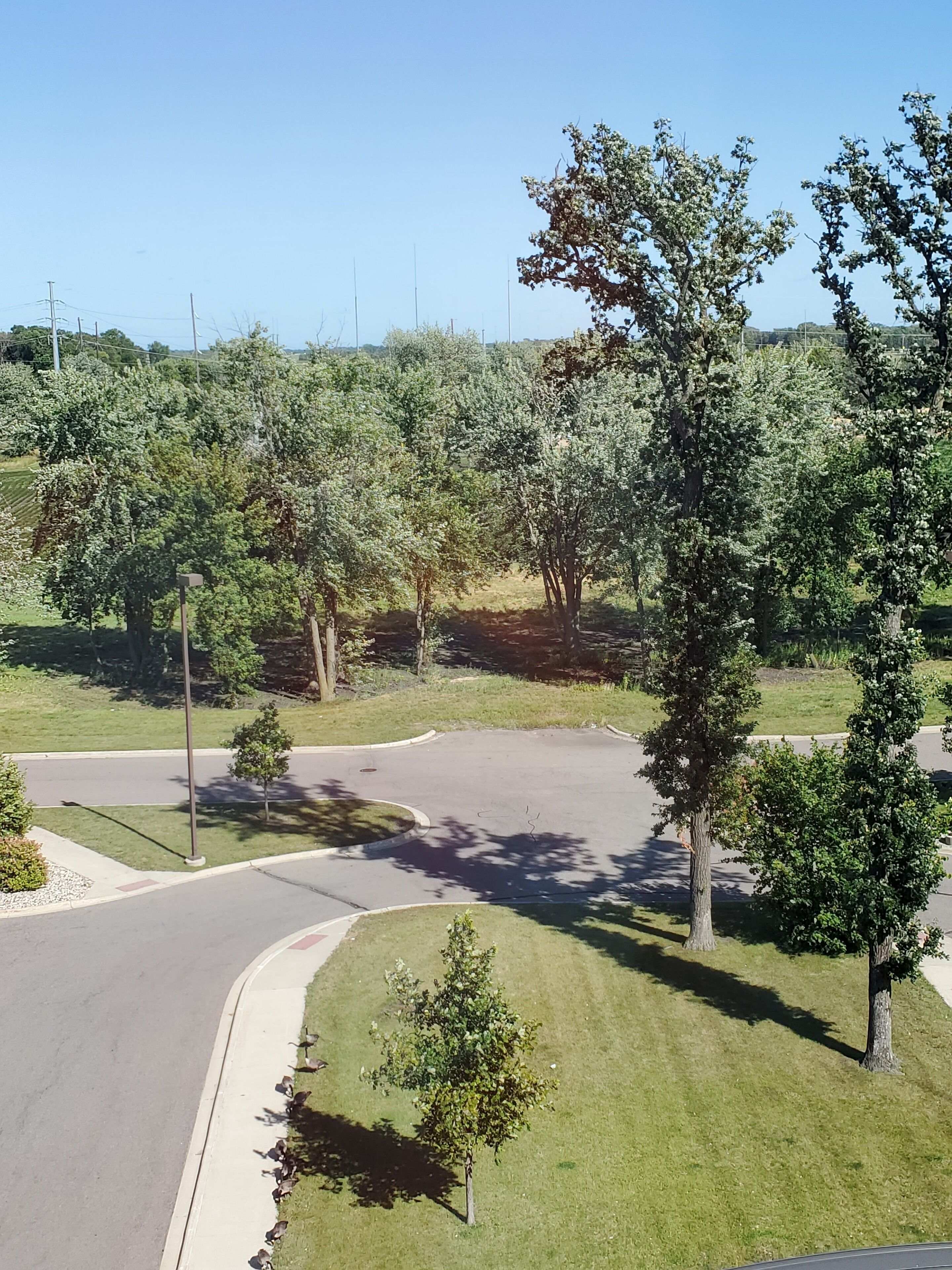 suite, multiple beds | bbq/picnic area