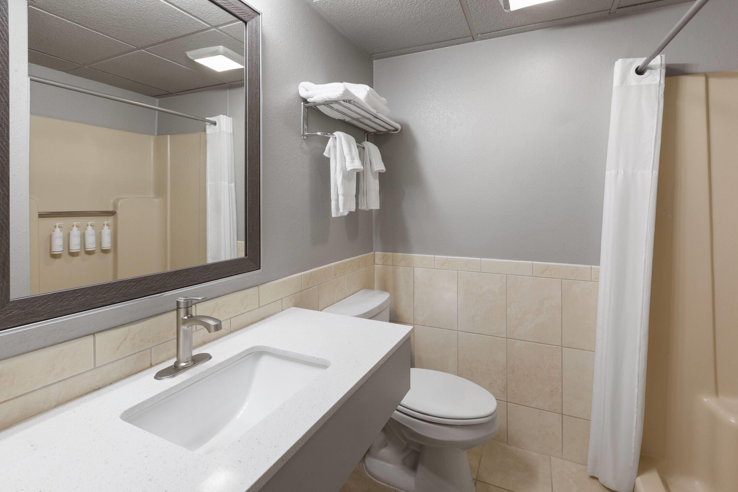 A bathroom with a sink, mirror, toilet, towel rack, and shower curtain.