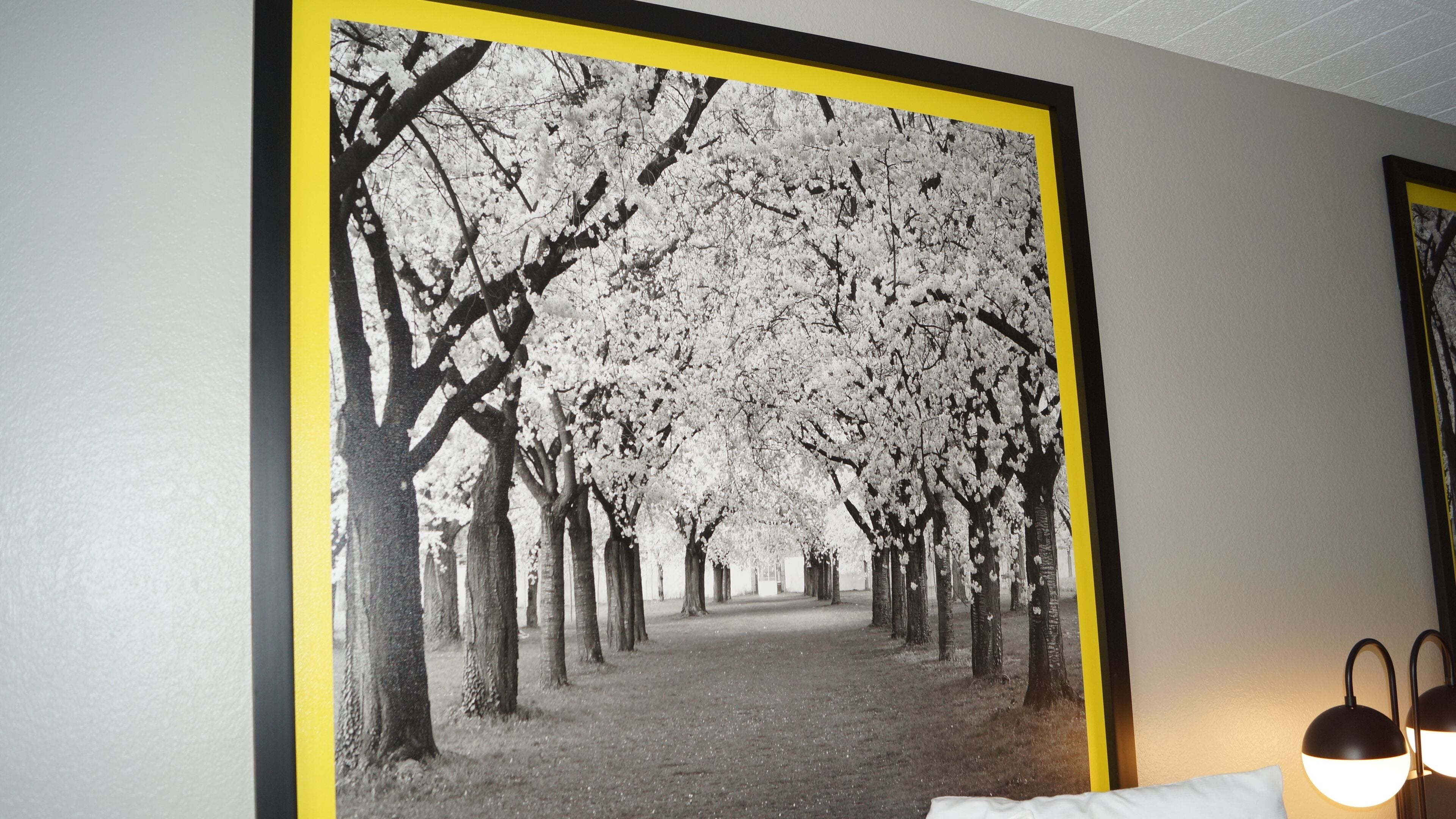 room, 2 queen beds, non smoking | desk, iron/ironing board, free wifi, bed sheets