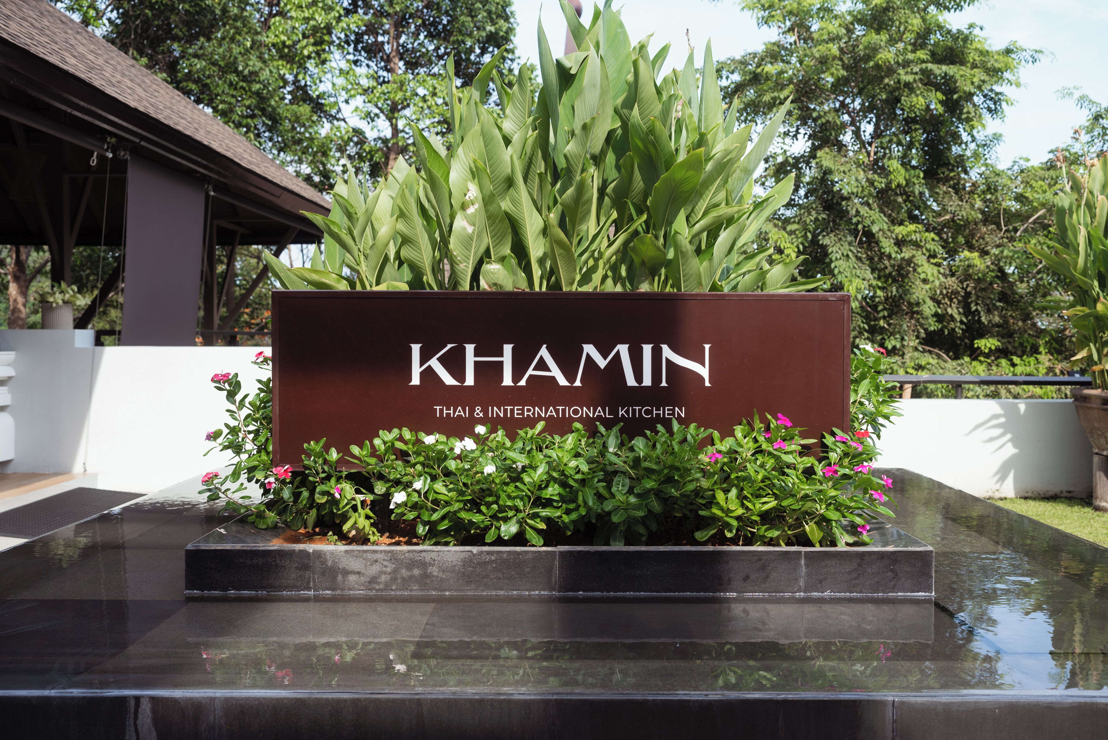 international cuisine