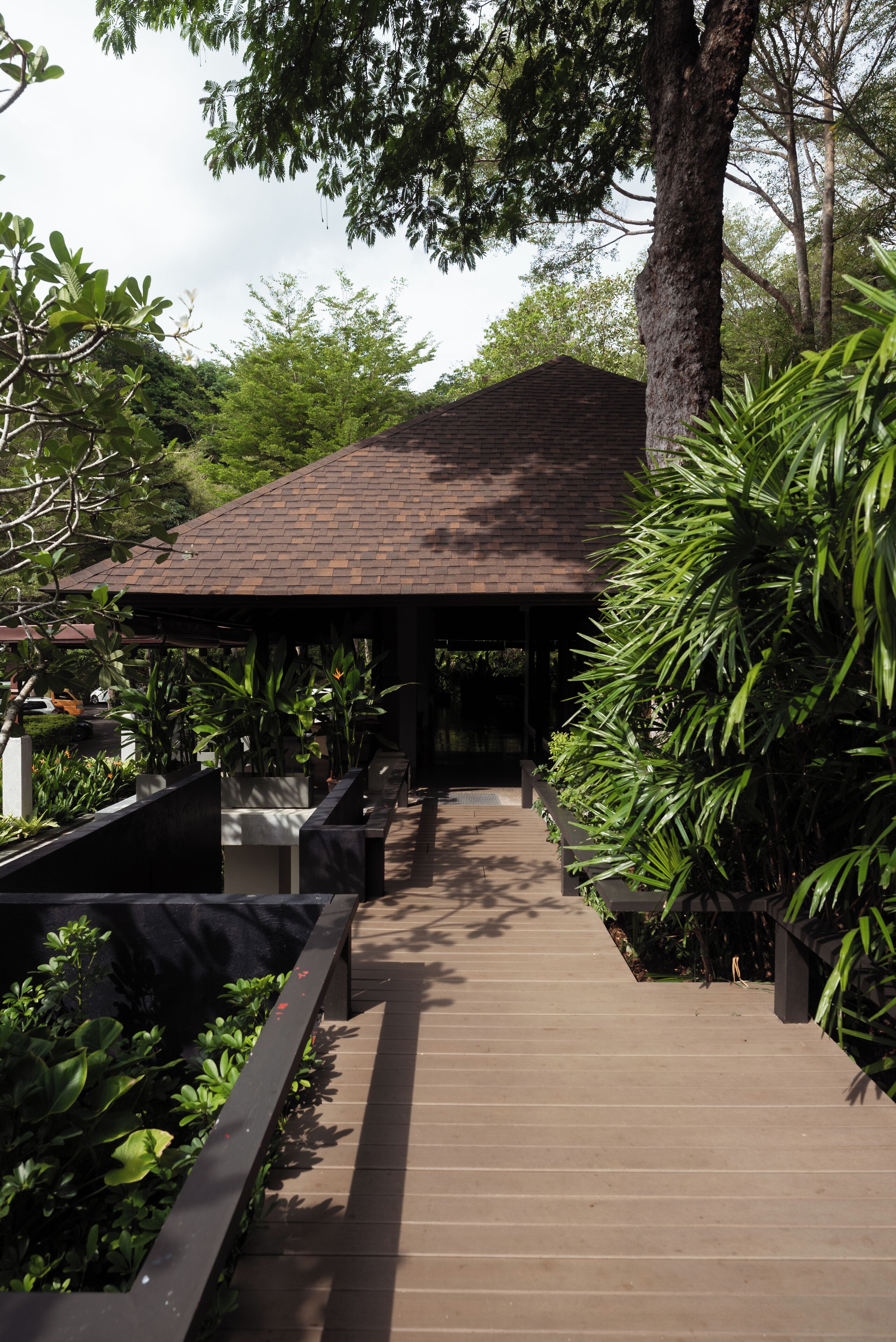 couples treatment room(s), body treatments, body scrubs, facials