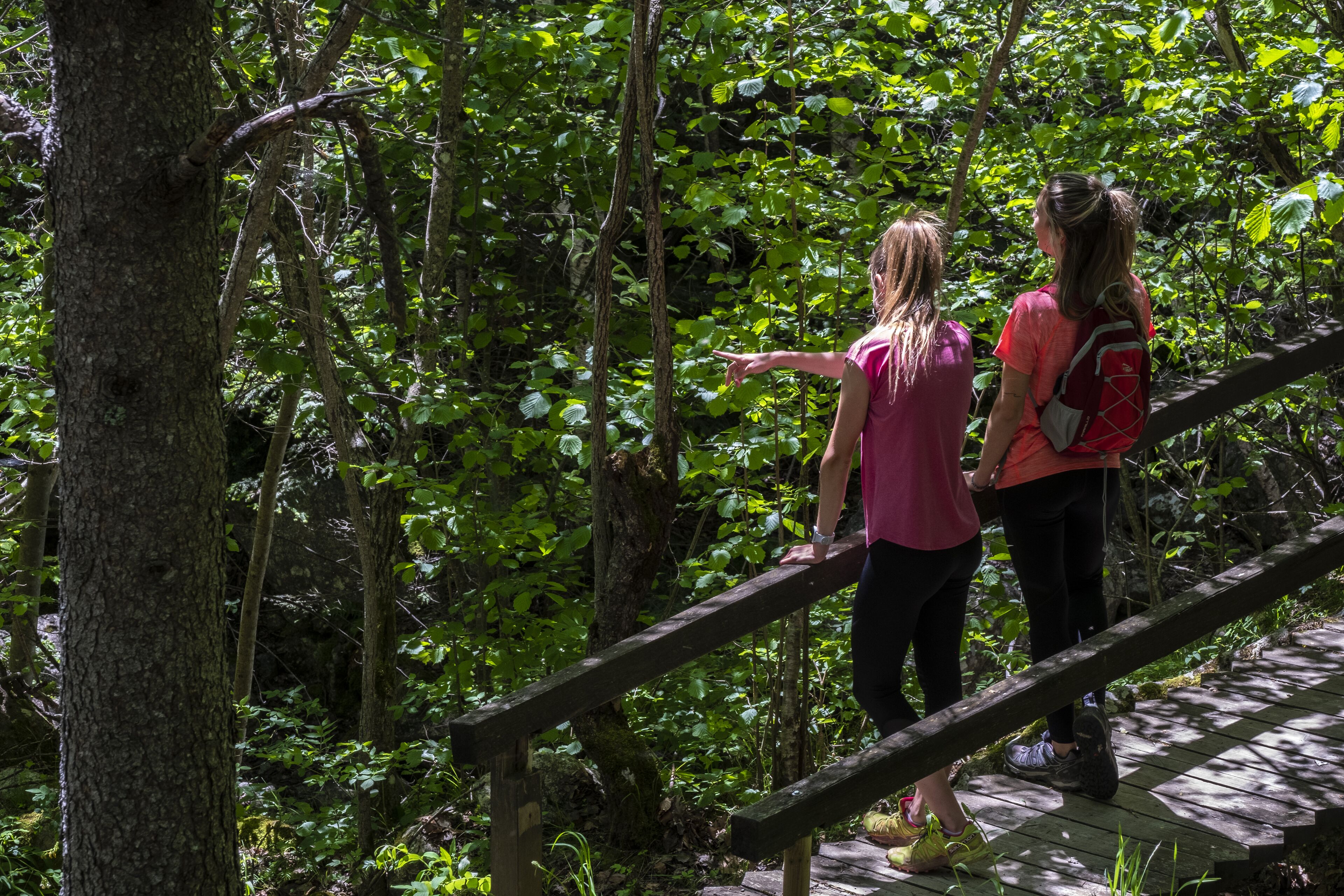 Two people standing on a wooden bridge in a forested area.