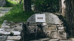 A stone structure labeled "BOIX" with a water spout, surrounded by trees and a stone pathway. - Hotel Manantial- Balneari Caldes de Boi (La Vall de Boi)
