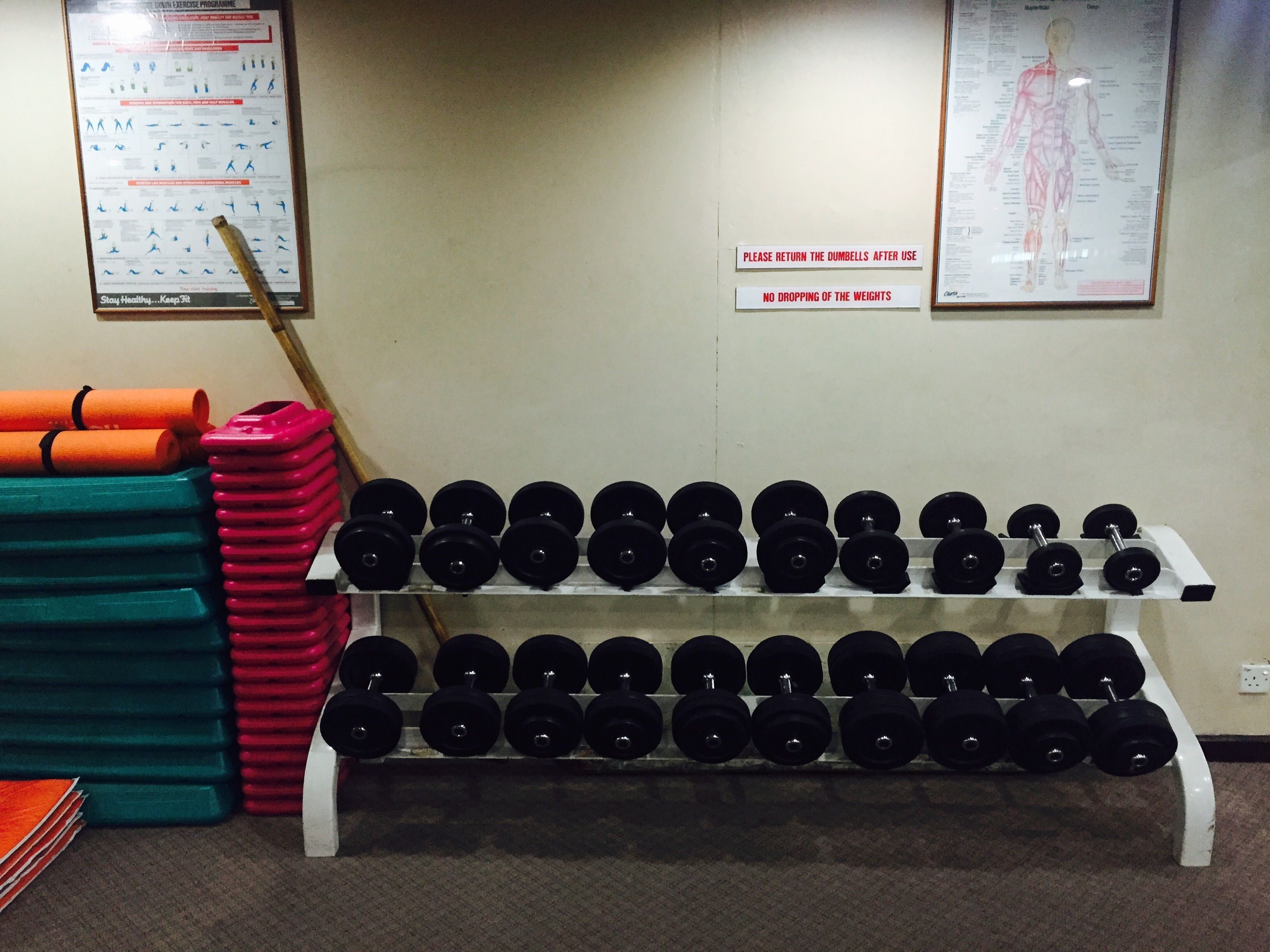 Une salle de sport avec un porte-haltères, une affiche au mur et une affiche représentant le corps humain.