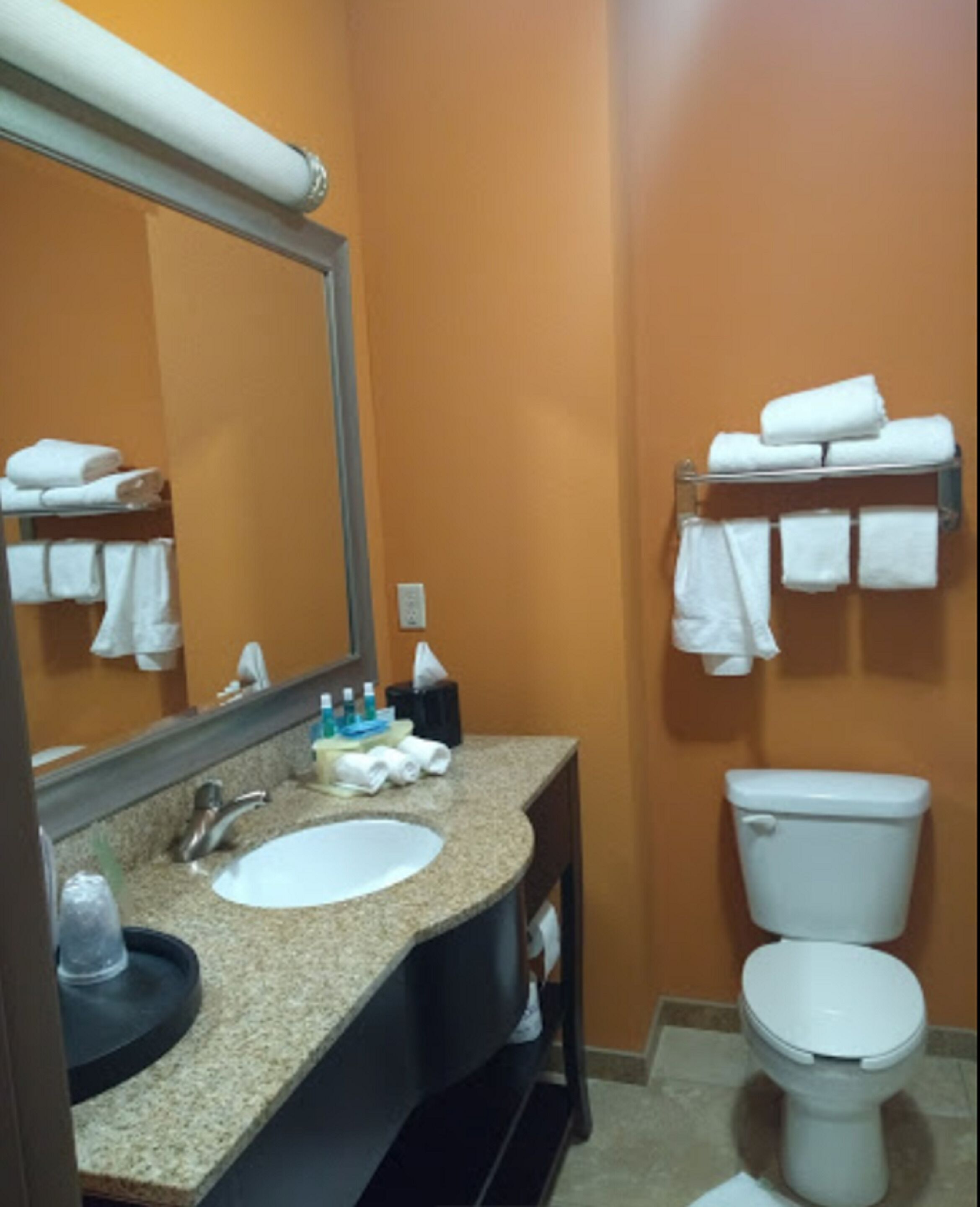 combined shower/bathtub, free toiletries, towels, toilet paper