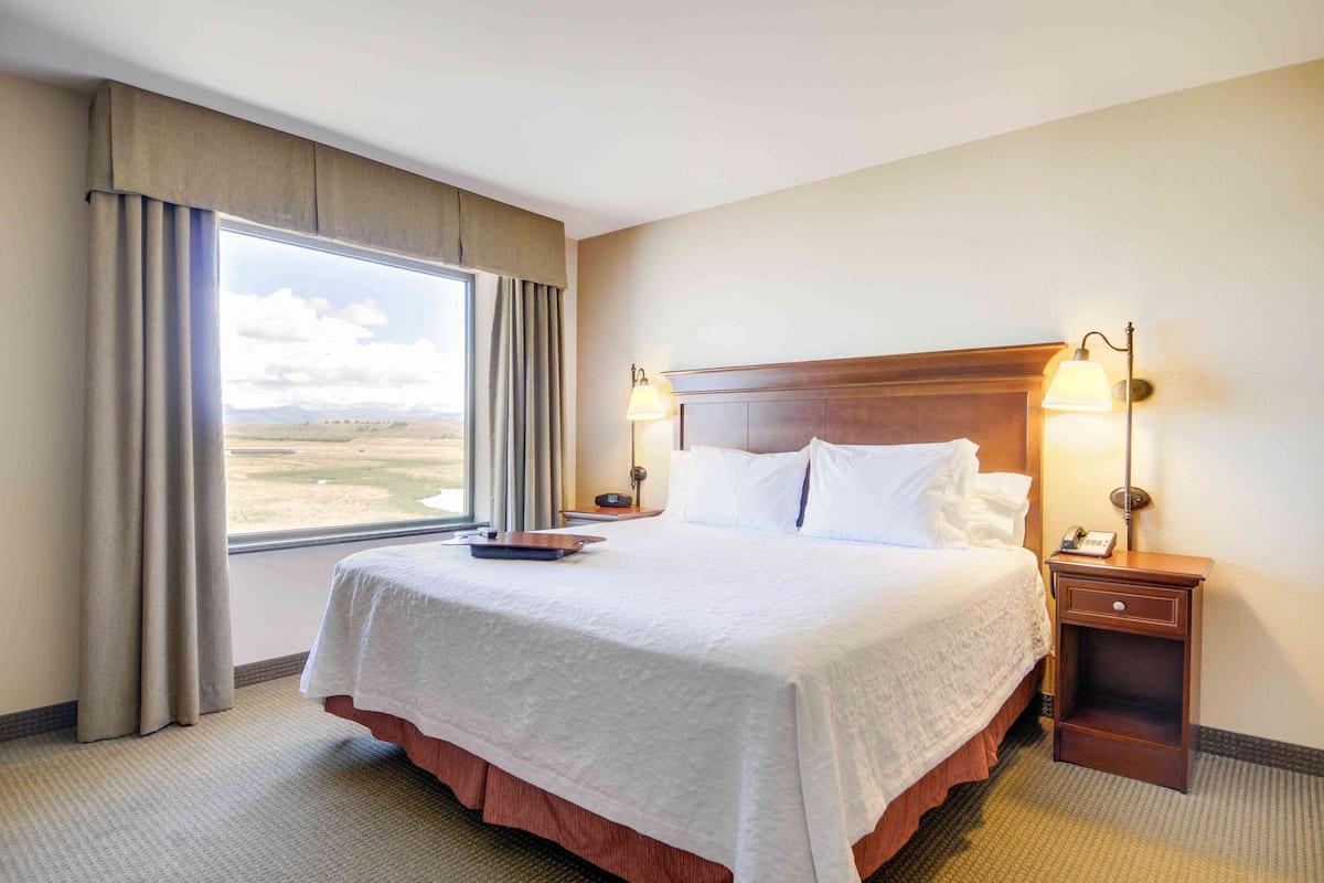 A hotel room with a large bed, two bedside lamps, a nightstand, and a view of the outdoors.