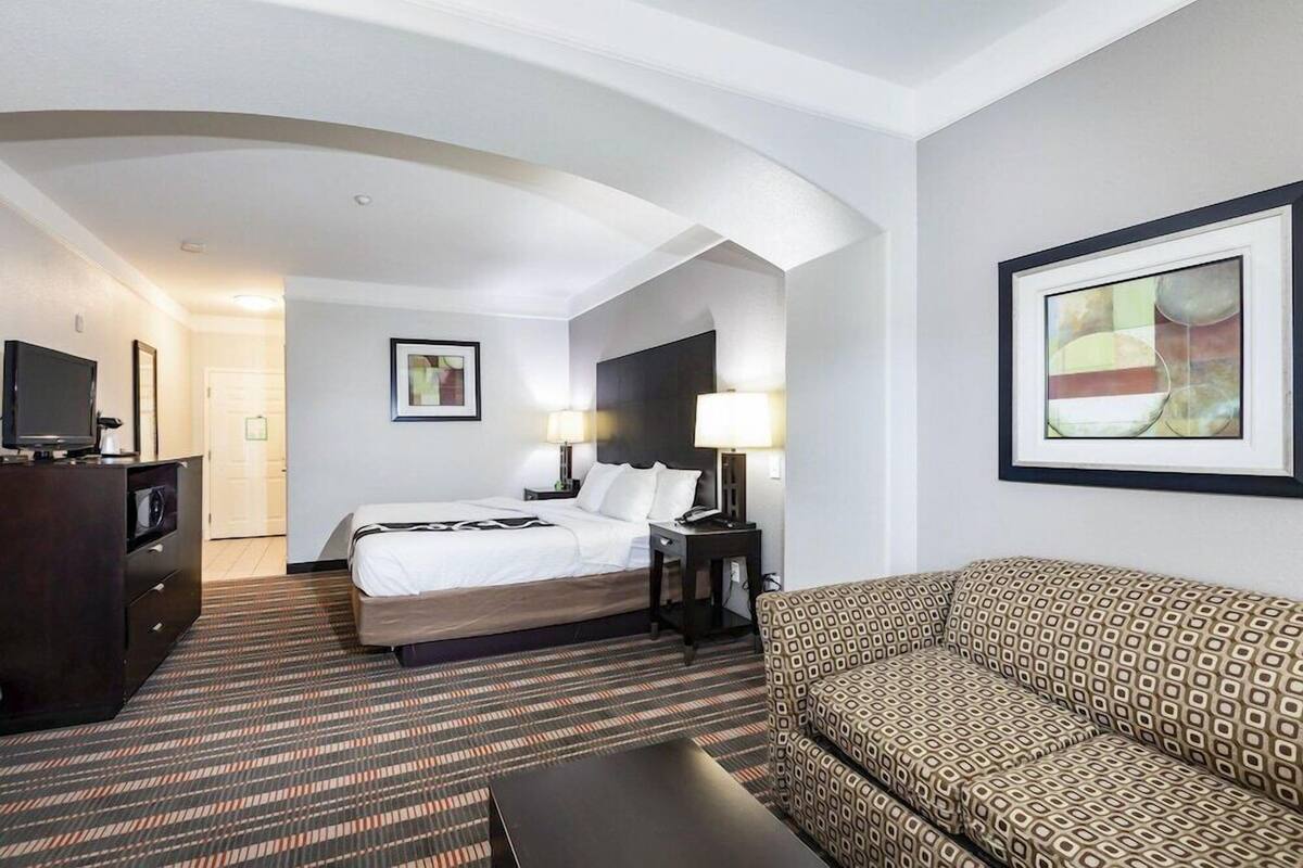 A hotel room with a bed, a sofa, a TV, a desk, and a framed picture on the wall.