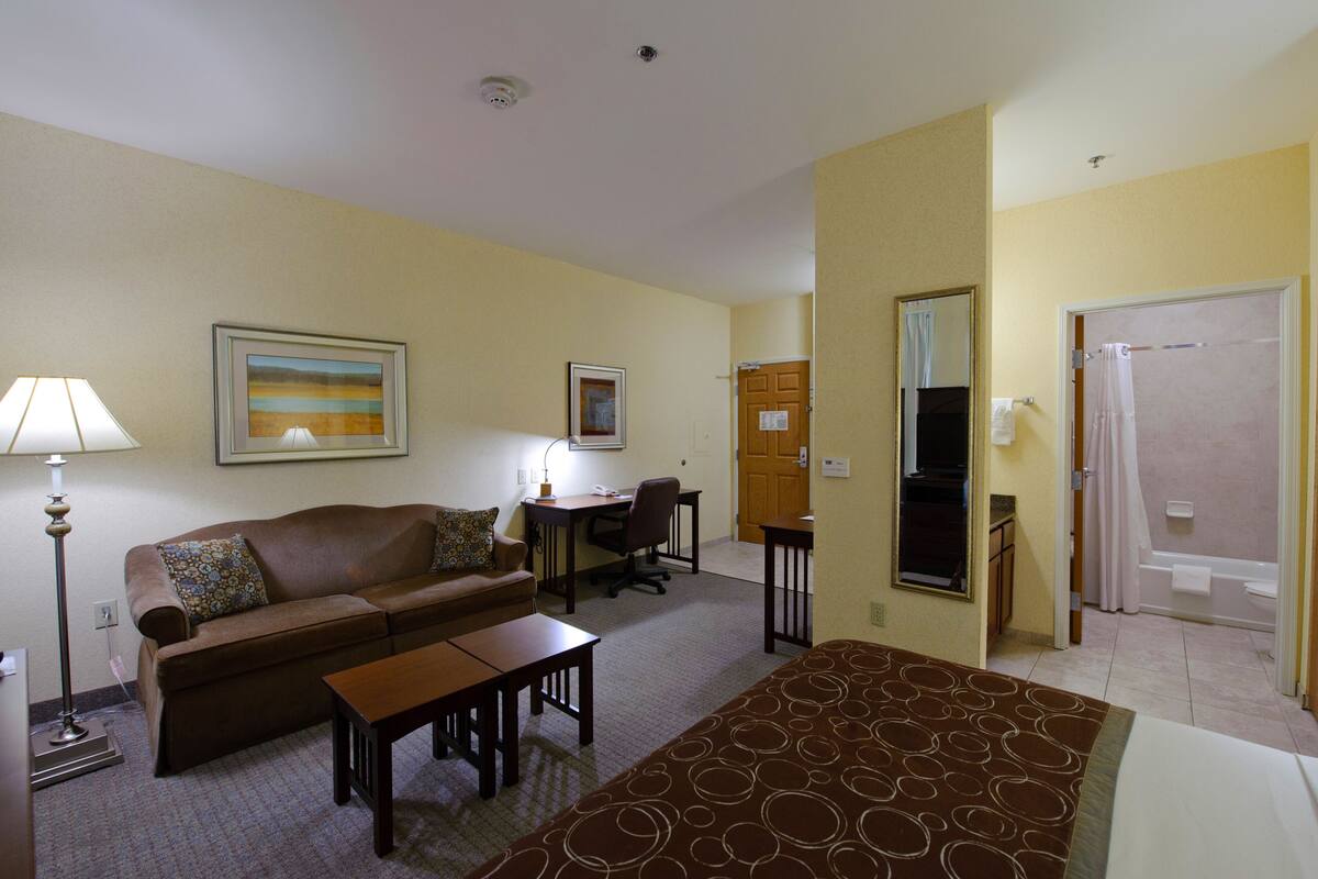 Une chambre d’hôtel avec un canapé marron, une petite table, un bureau avec une chaise, une salle de bain avec douche et toilettes, et un tableau accroché au mur.