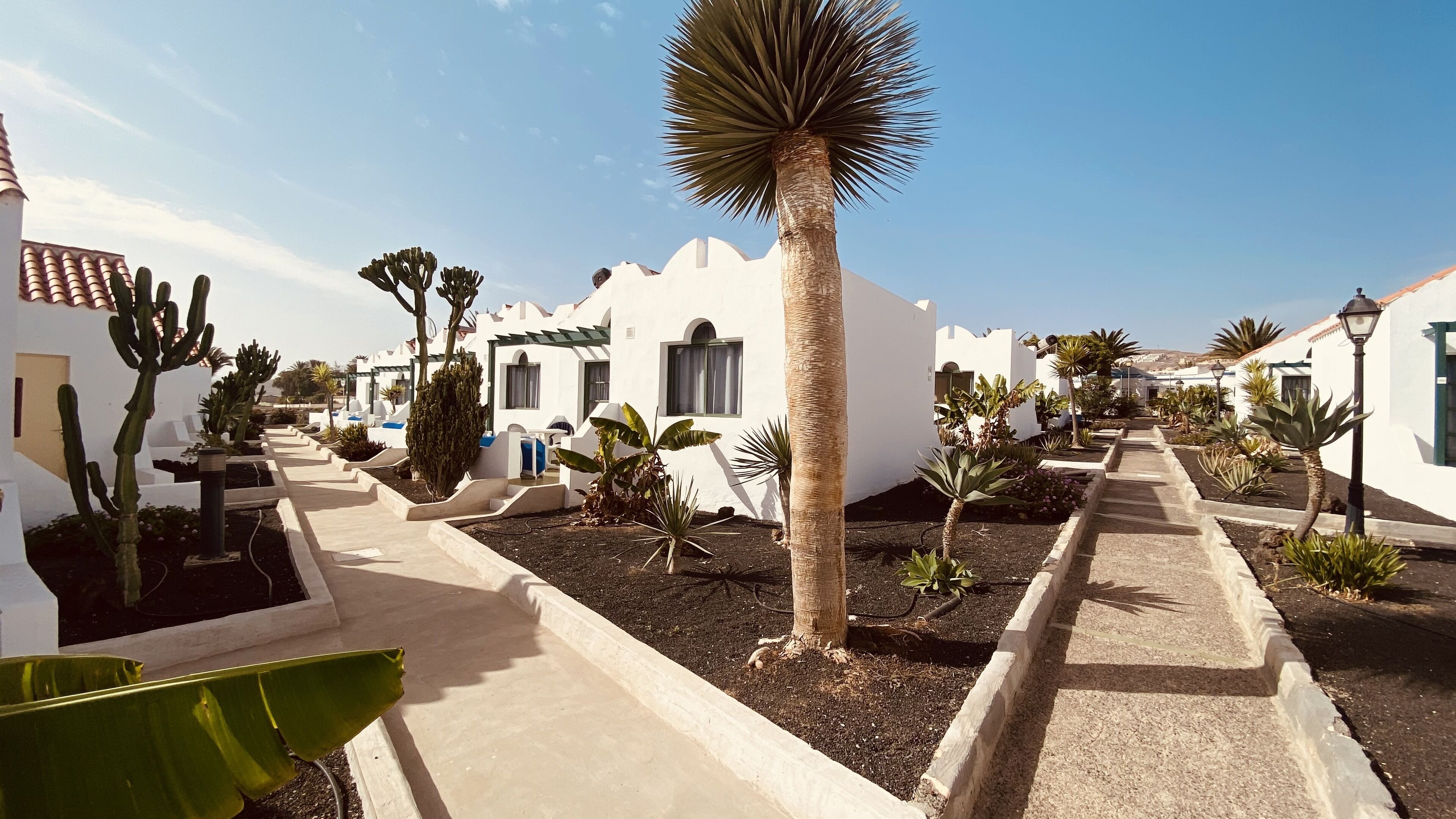 Foto - Casthotels Fuertesol Bungalows