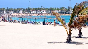 Une plage avec des transats, des parasols et des palmiers.
