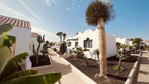 Une cour bordée de bâtiments blancs, de cactus et d’un palmier.