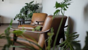 A brown leather chair with a metal frame, positioned in a room with a potted plant in the background. - Holiday Inn Express Guadalajara Expo by IHG (Guadalajara)