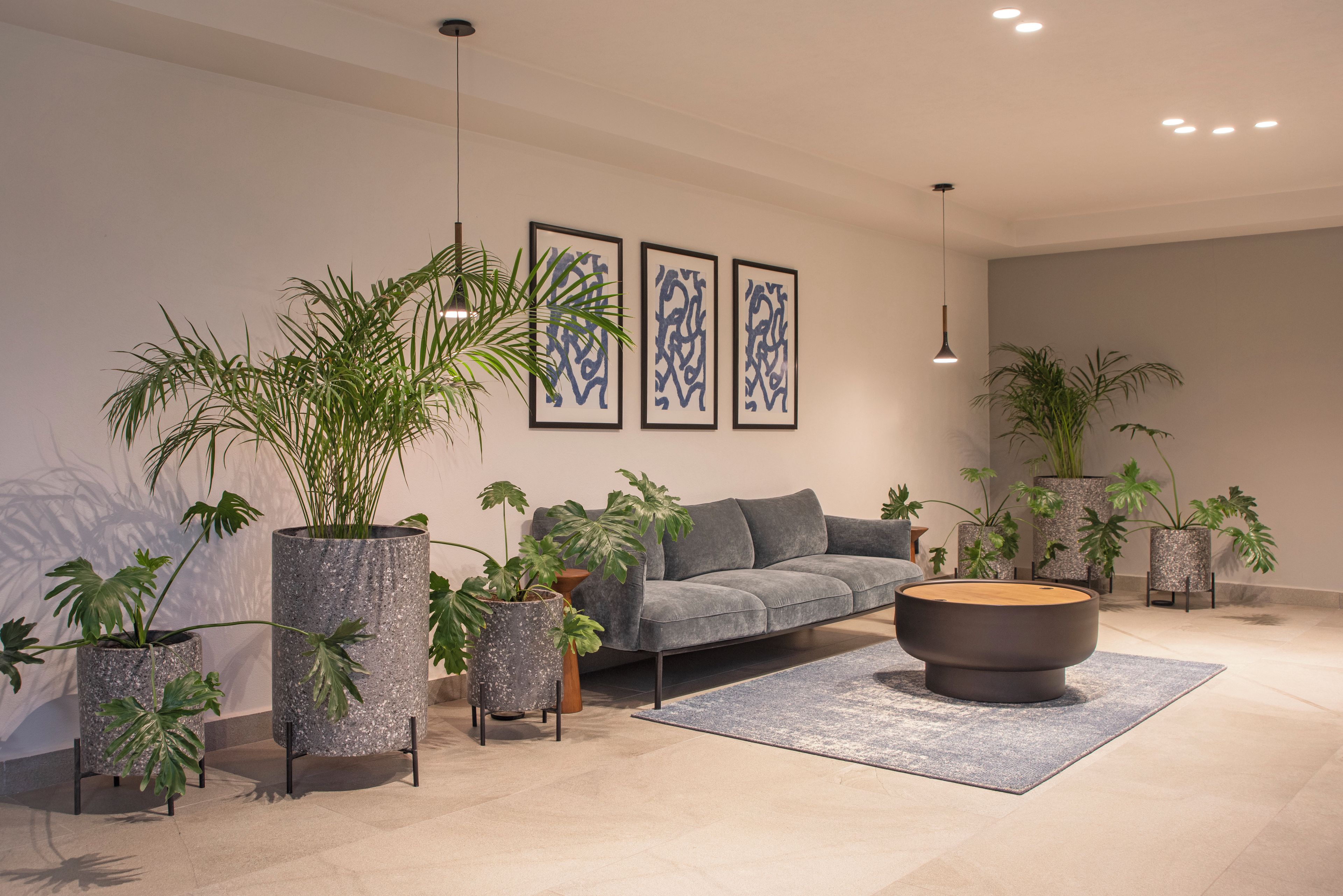 A modern living room with a grey sofa, a round coffee table, and several potted plants.