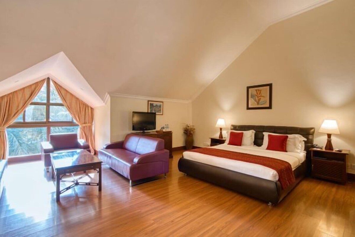 A hotel room with a bed, a sofa, a TV, and a window with curtains.