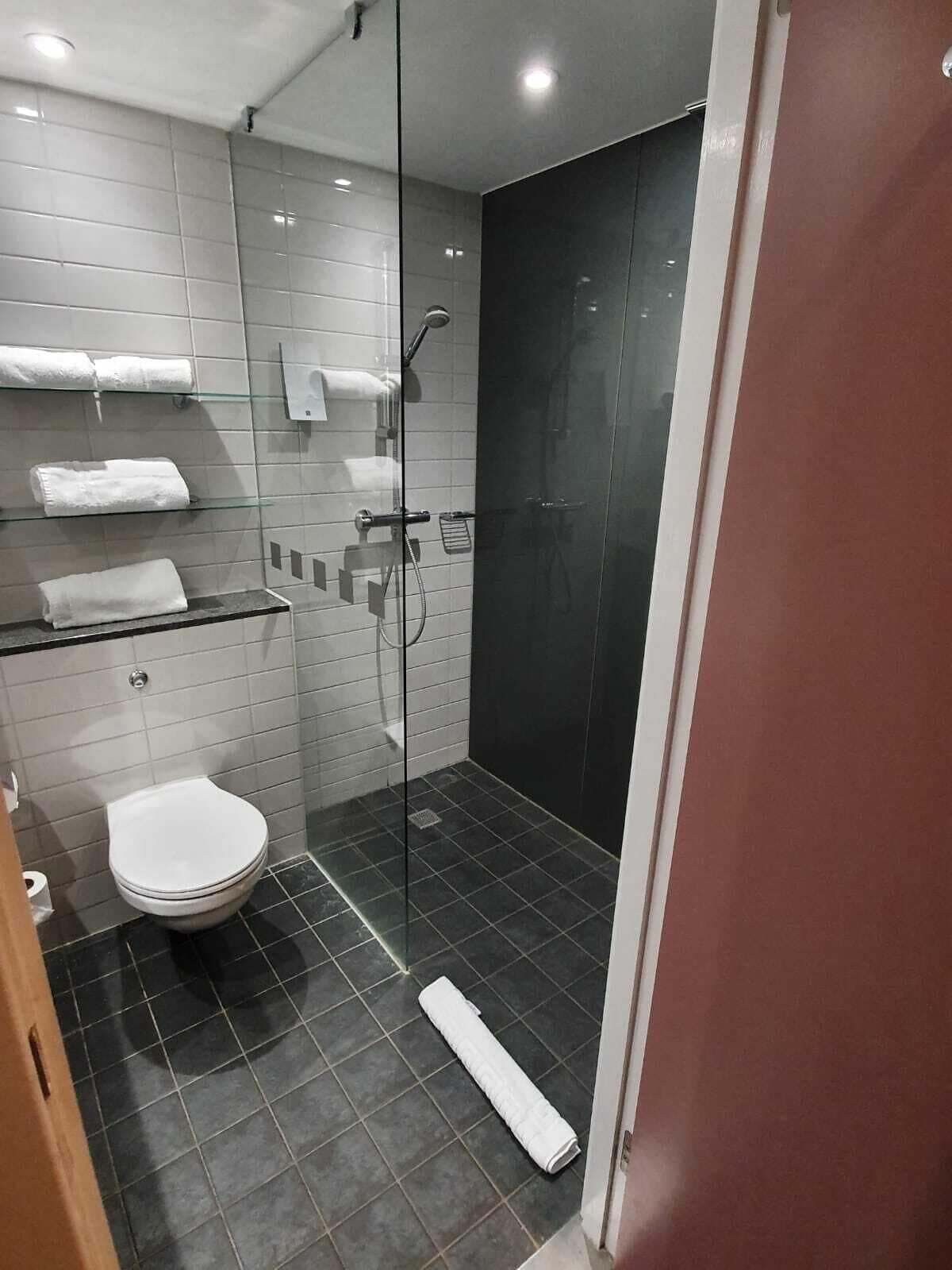 shower, free toiletries, hair dryer, towels