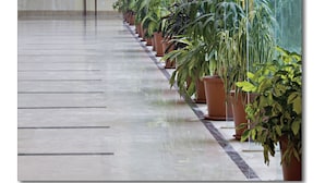 Un vestíbulo amplio con una larga fila de plantas en macetas, piso de mármol y un gran muro de vidrio.