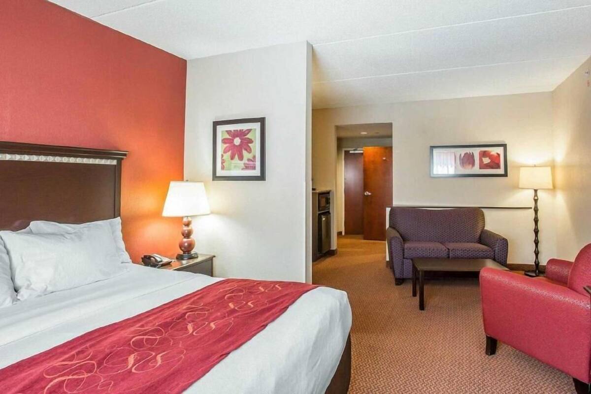 A hotel room with a bed, a desk, a chair, a sofa, and a lamp.