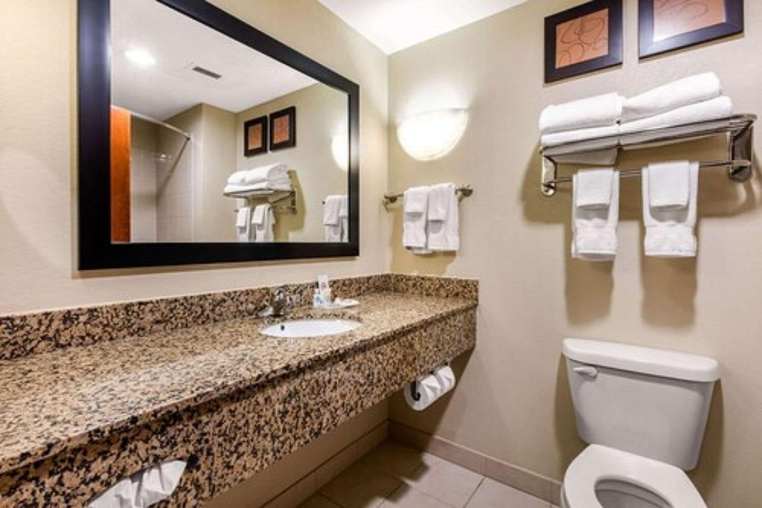 combined shower/bathtub, free toiletries, hair dryer, towels