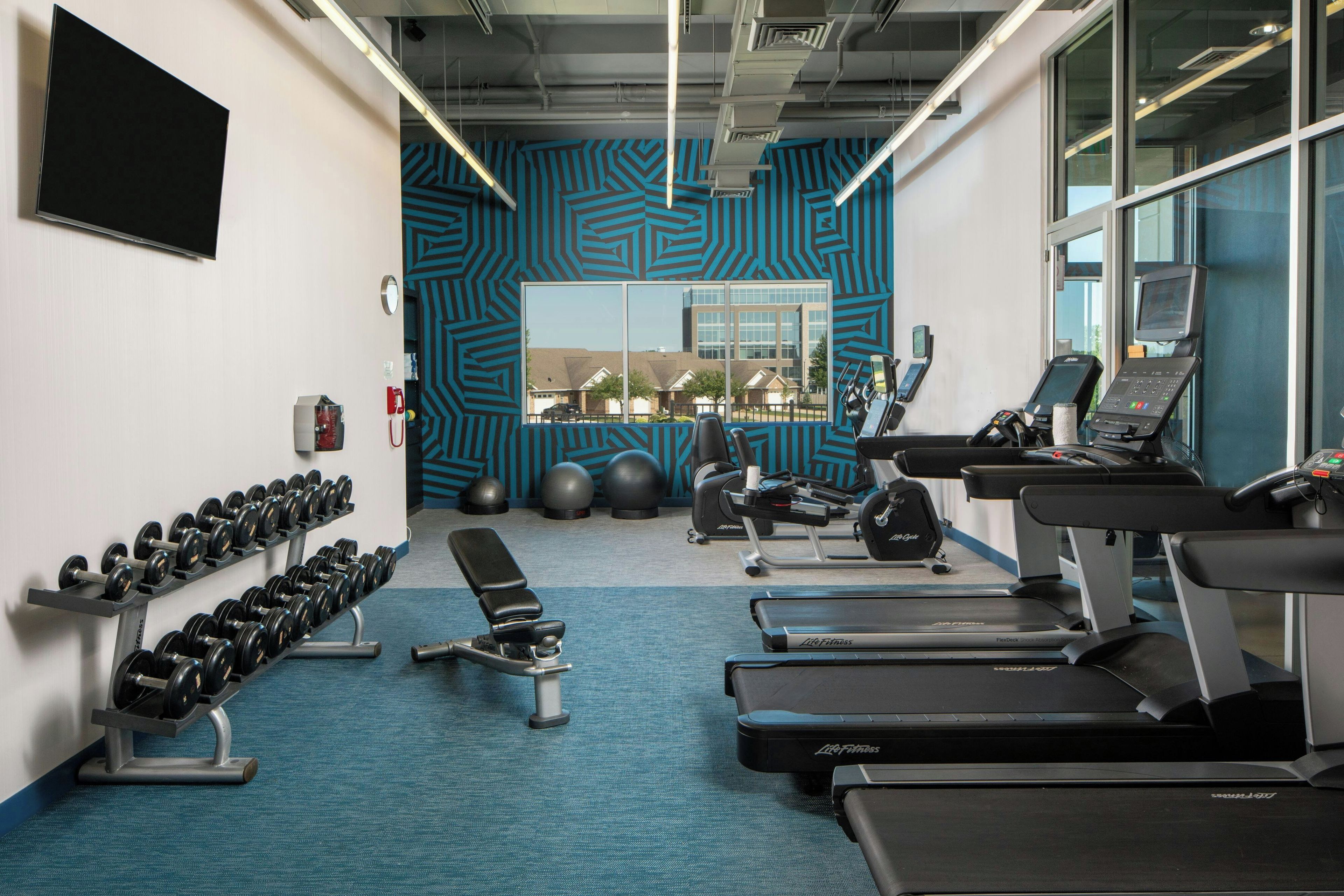 Un gimnasio con cintas de correr, mancuernas, banco y pelotas de ejercicio.