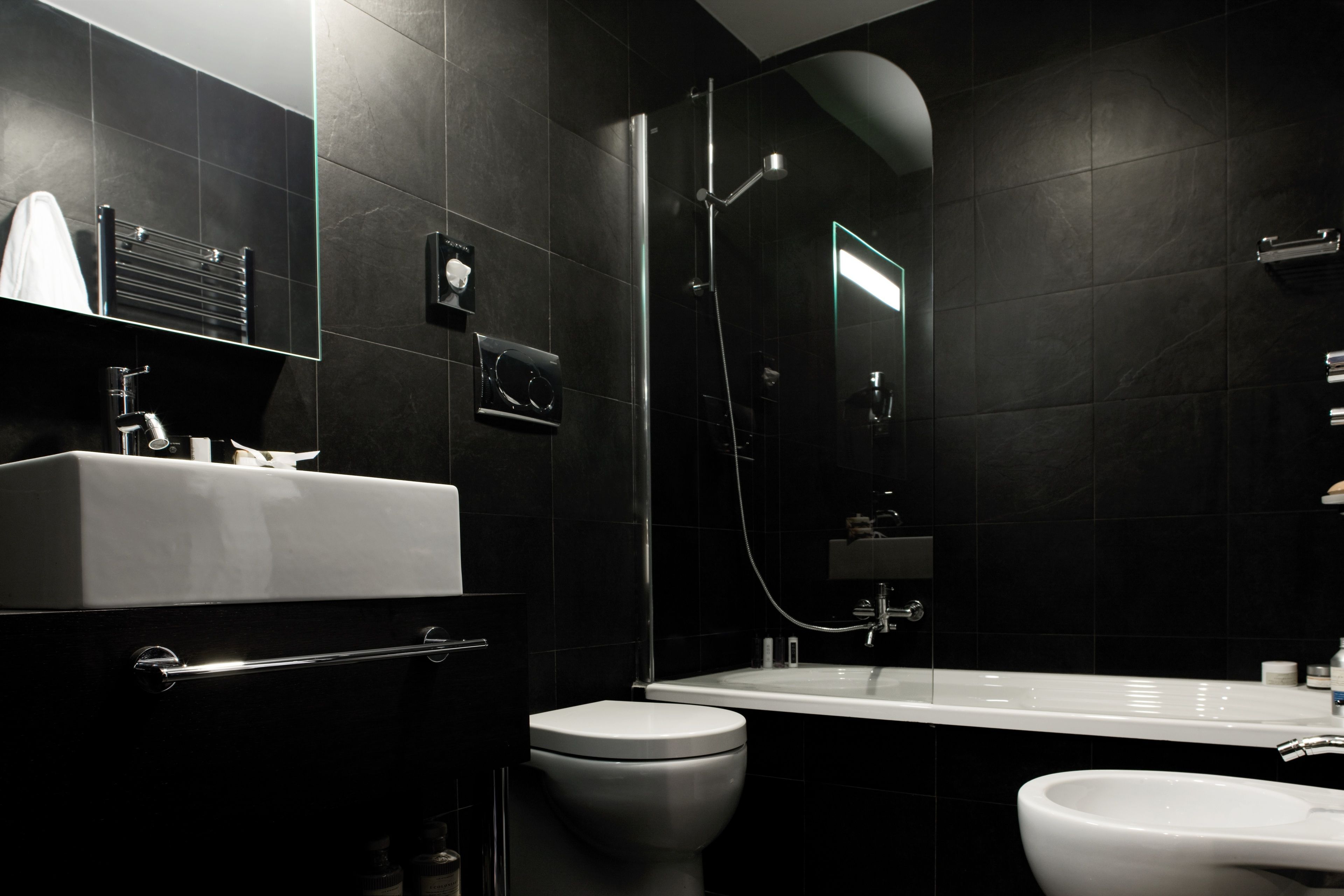 shower, free toiletries, hair dryer, bidet