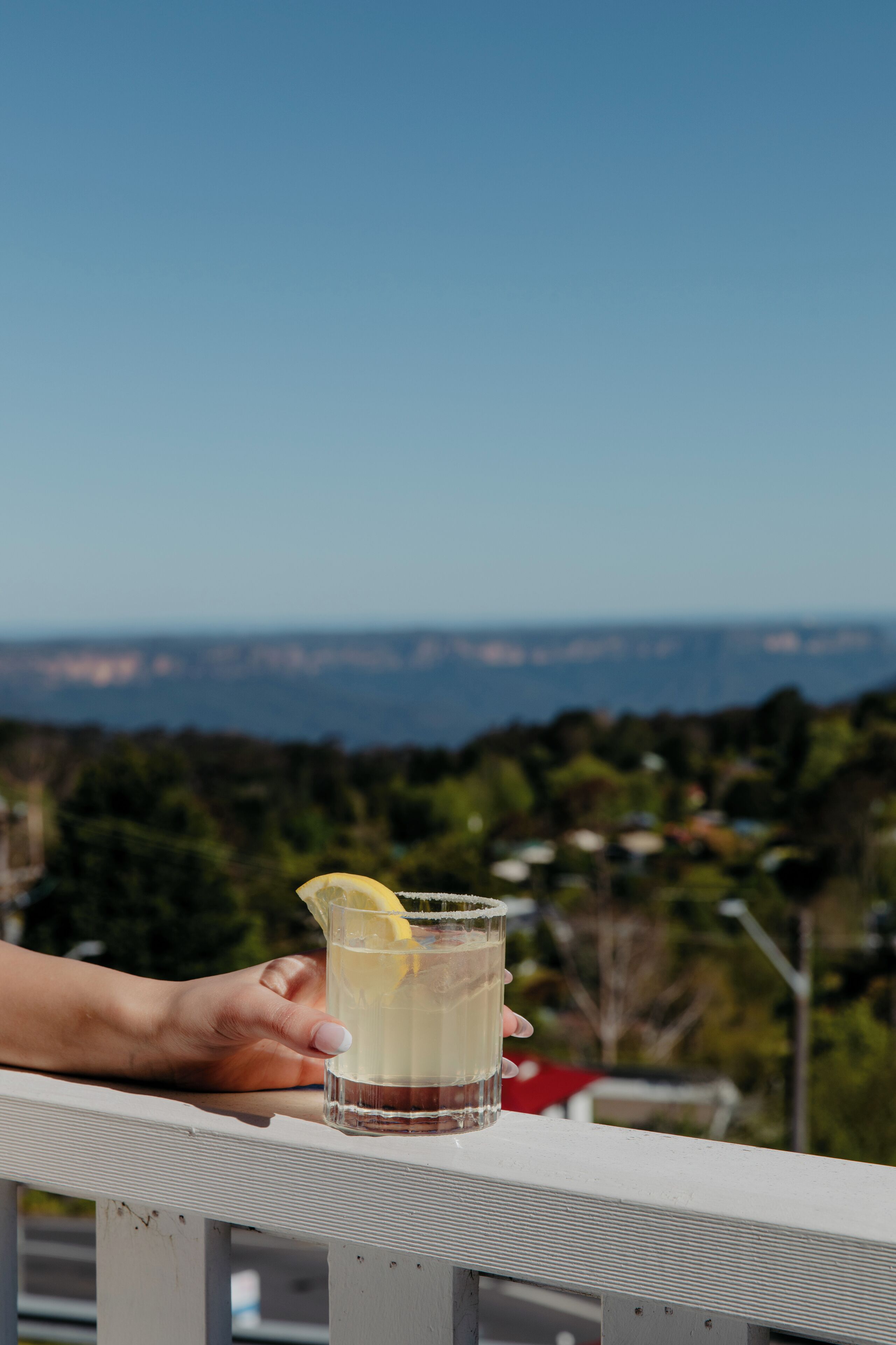 A hand holding a glass with a lemon slice, overlooking a scenic view.