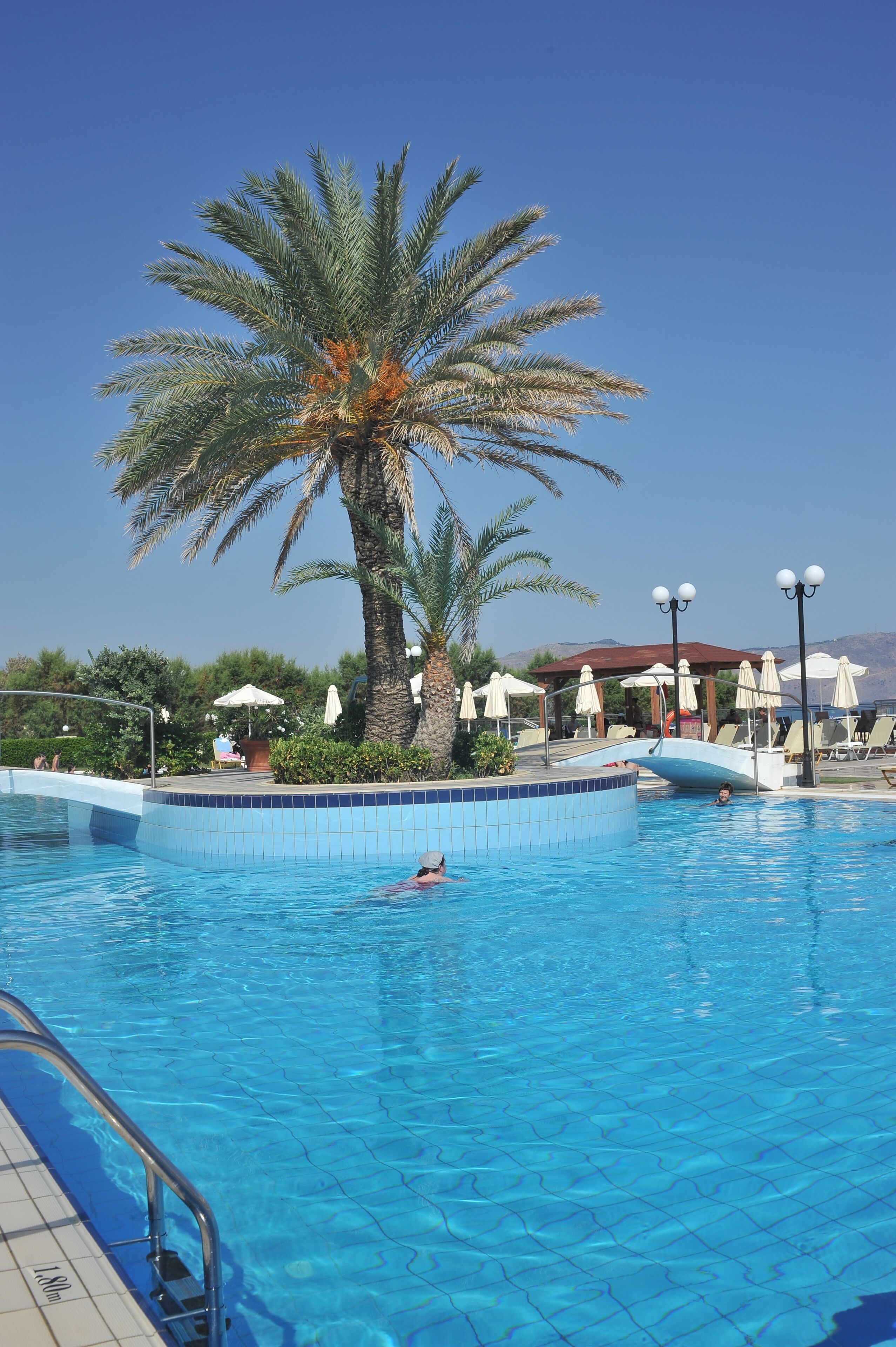 Una piscina con bordes azulejados, una palmera y sombrillas de descanso.